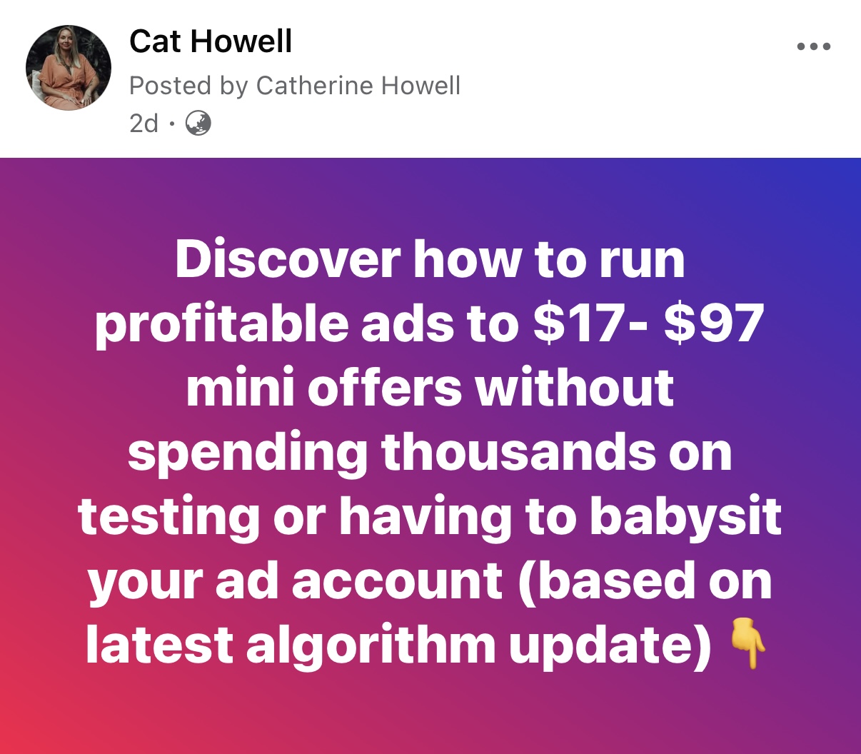 Cat Howell Facebook ad