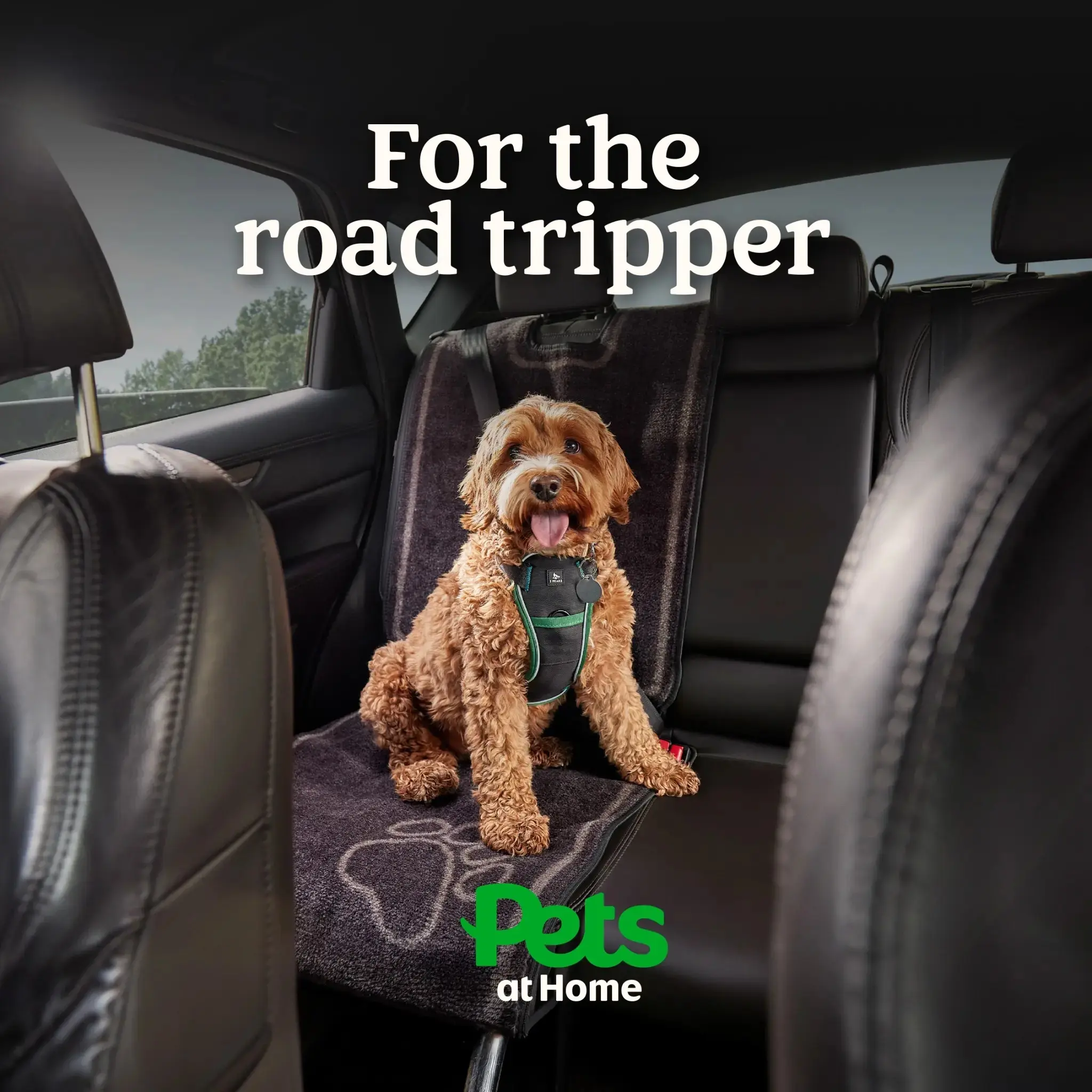 Pets UK Facebook ad