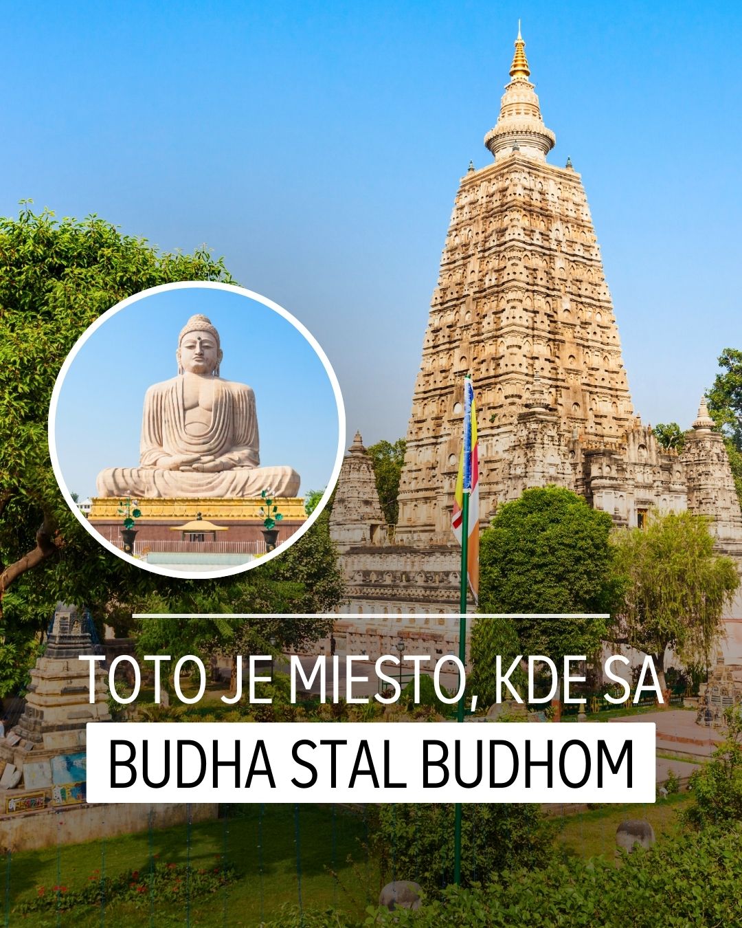 BUBO Facebook ad