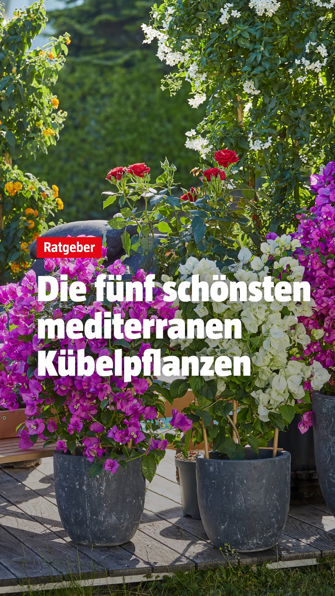 BAUHAUS Deutschland Facebook ad