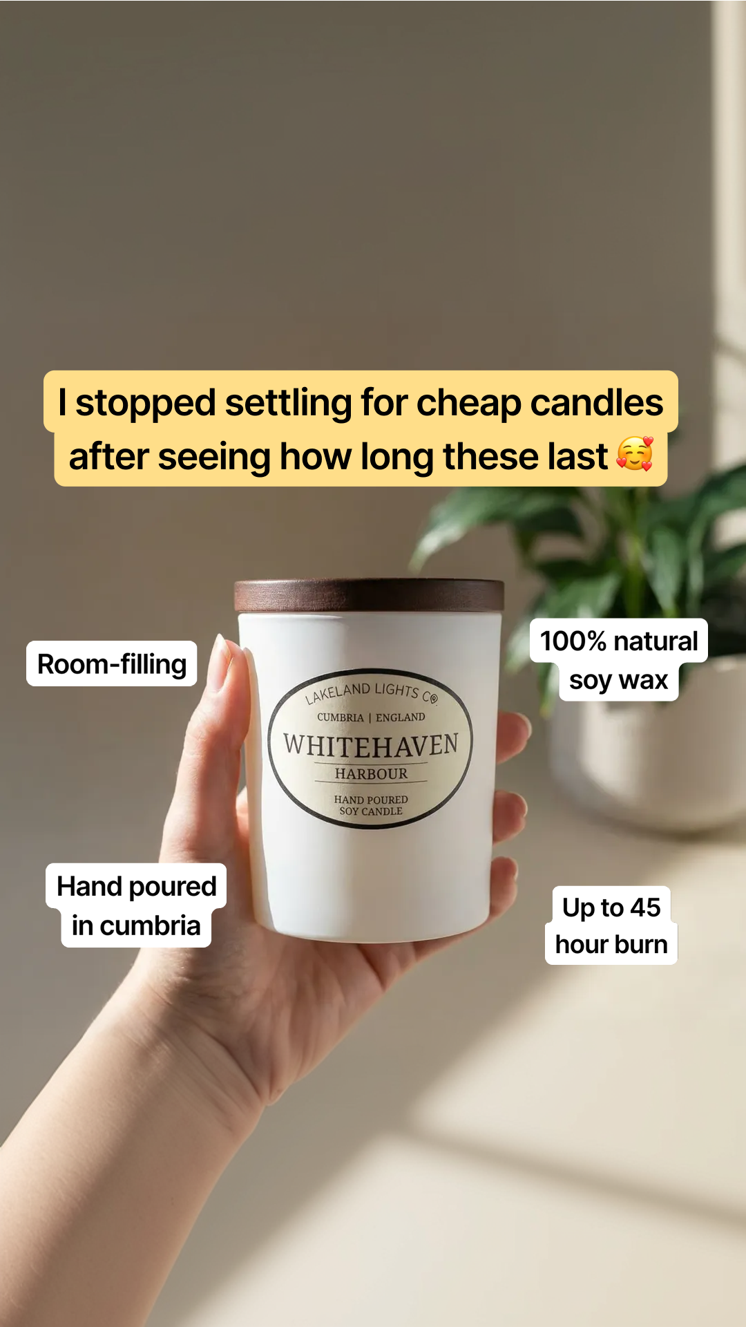 Lakeland Lights Company Facebook ad from Feb 12, 2026