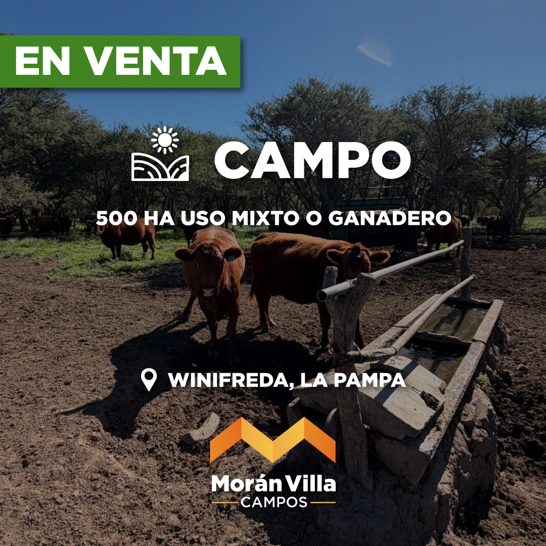 Moran Villa Bienes Raíces Facebook ad: Campo en venta en La Pampa | 500…
