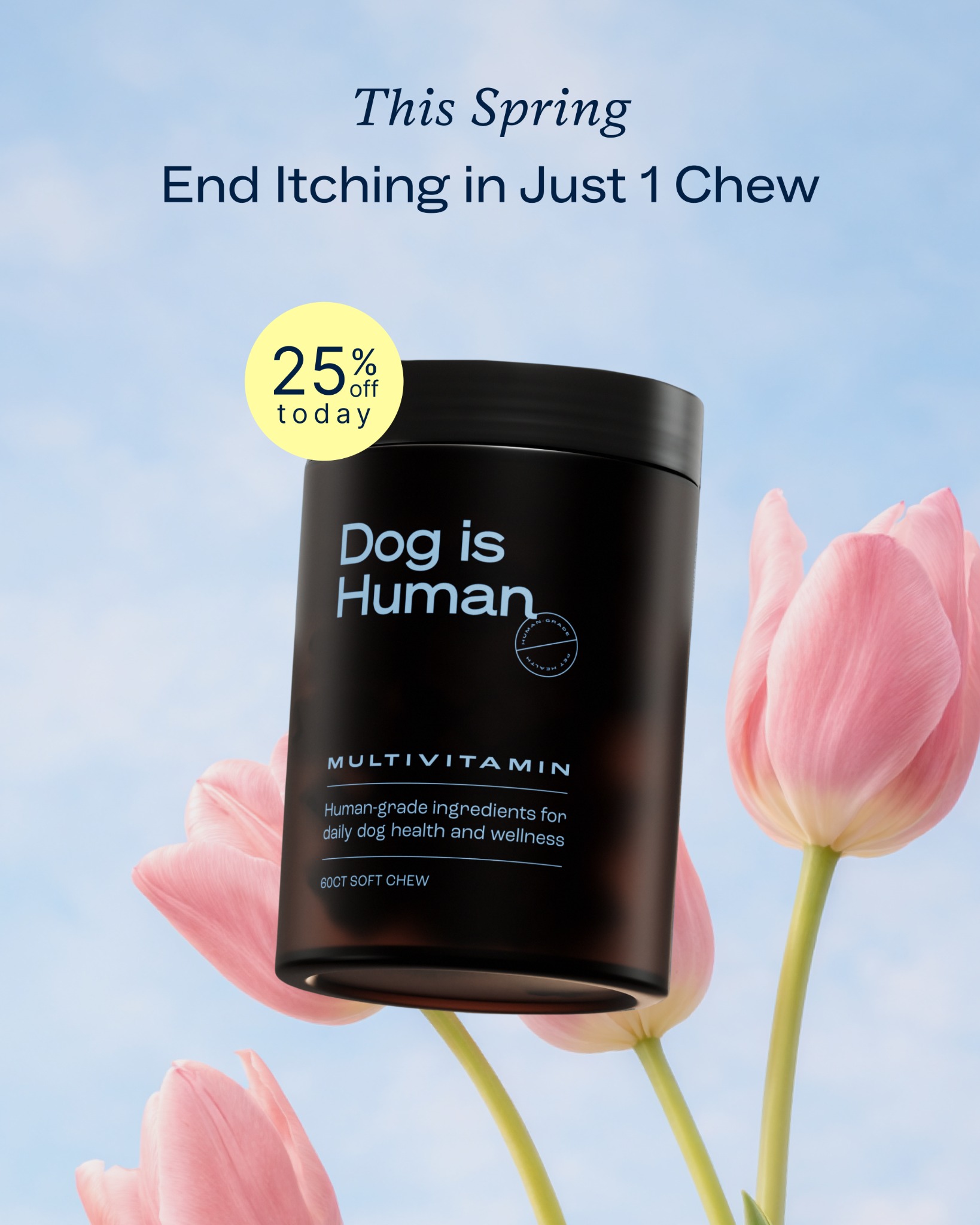 Dog is Human Facebook ad