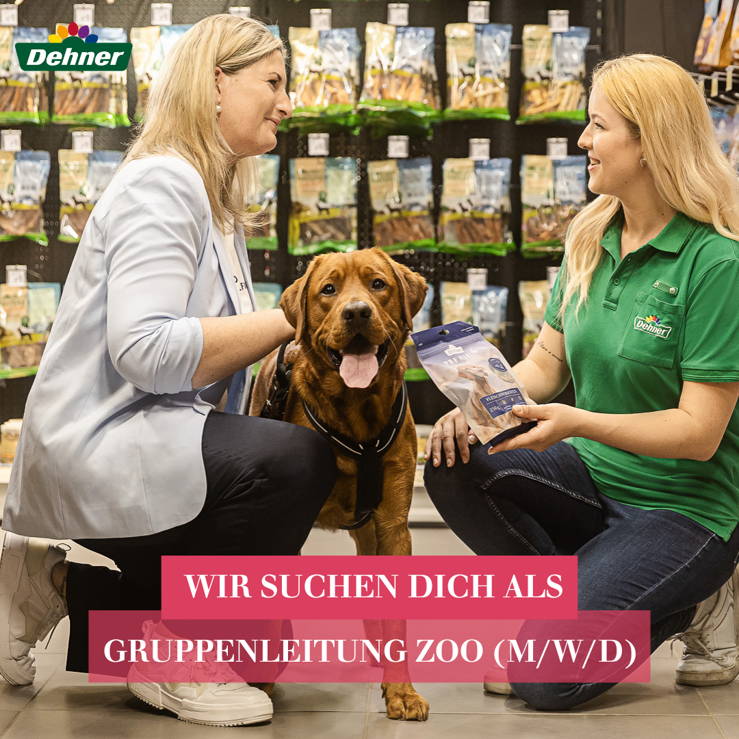 Dehner Karriere Facebook ad