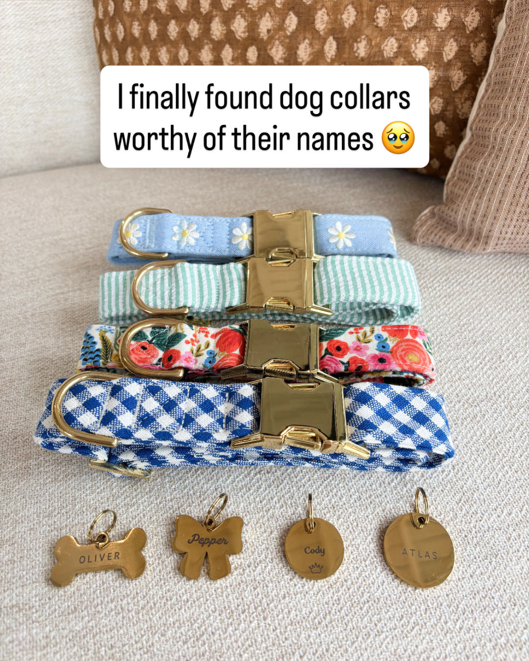 The Foggy Dog Facebook ad