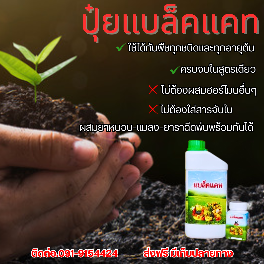 ปุ๋ยแบล็คแคท นวัตกรรม เพิ่มผลผลิต Facebook ad