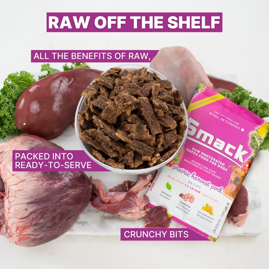Smack Pet Food Facebook ad