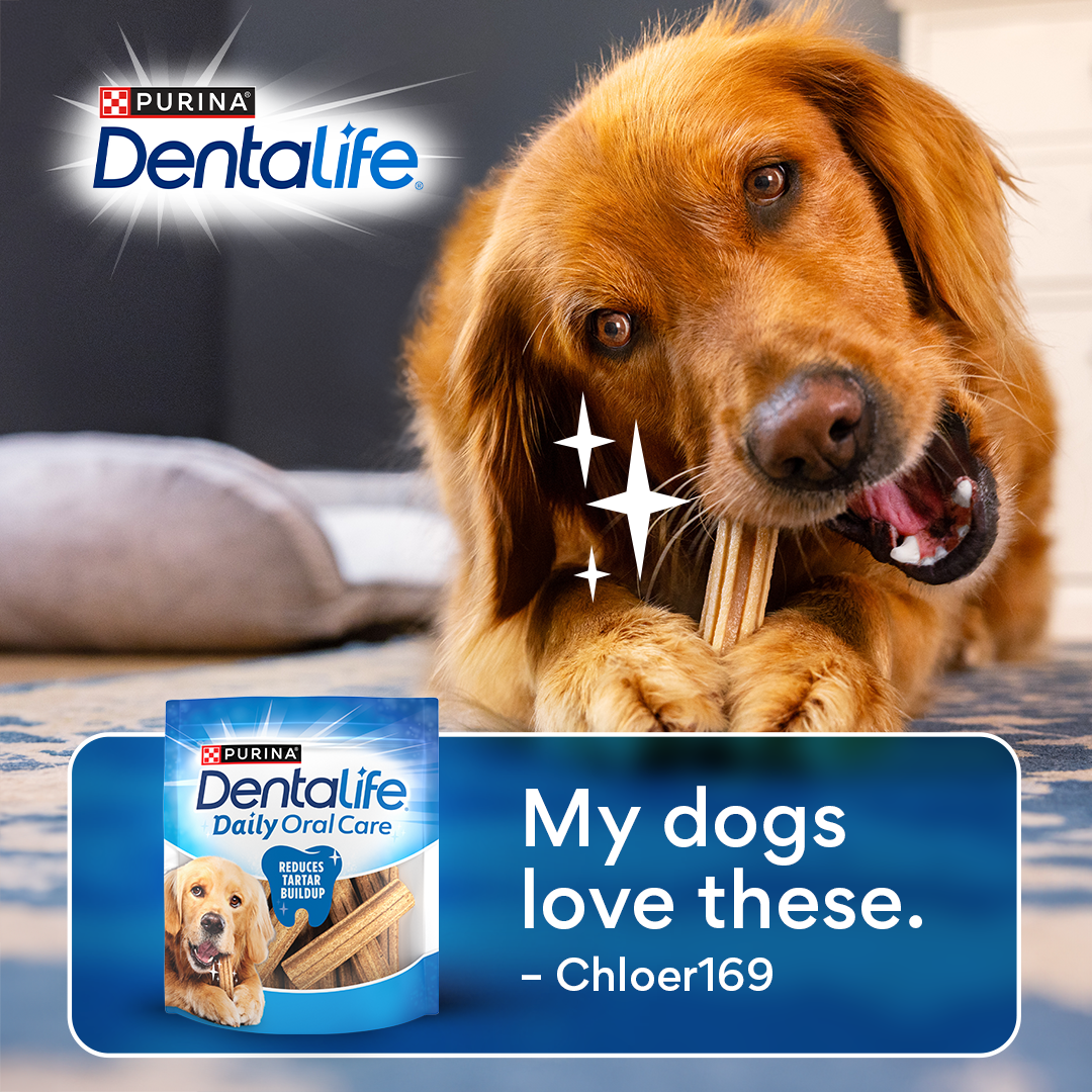 Chewy Facebook ad