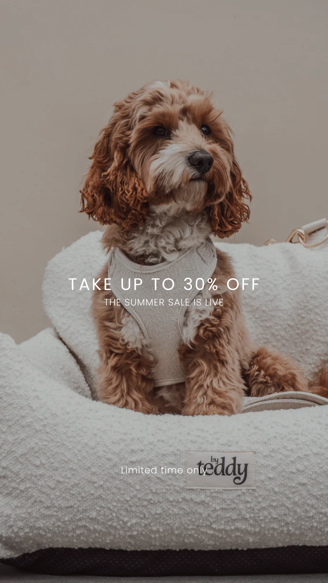 By Teddy Facebook ad