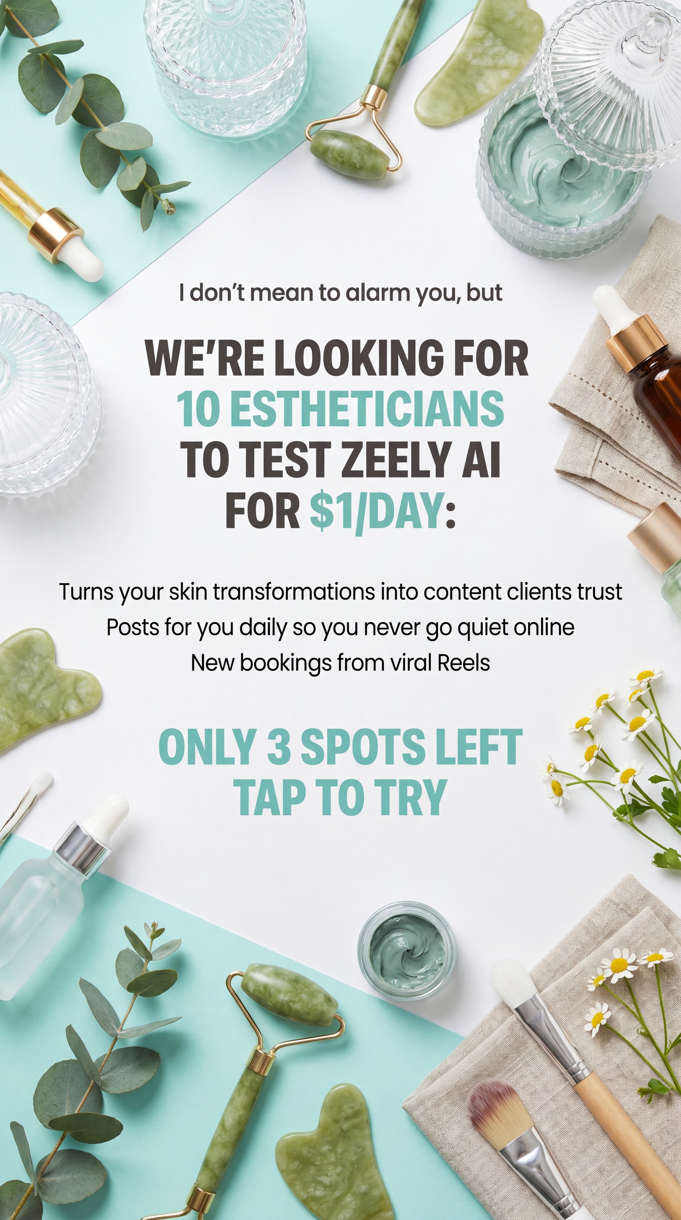 Zeely Facebook ad