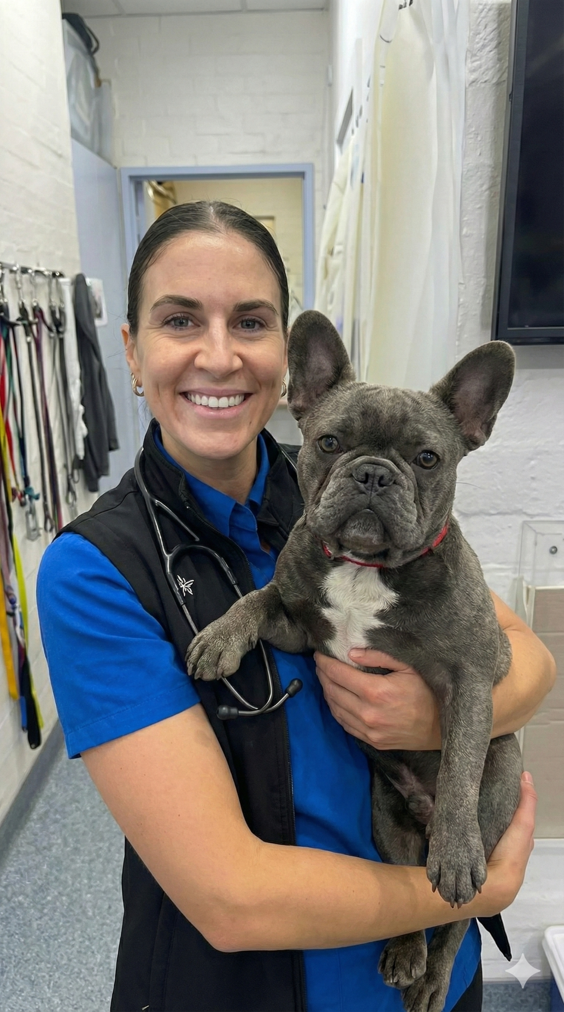 Riverside Animal Hospital Facebook ad: Fast Relief for Itchy Ears and Skin