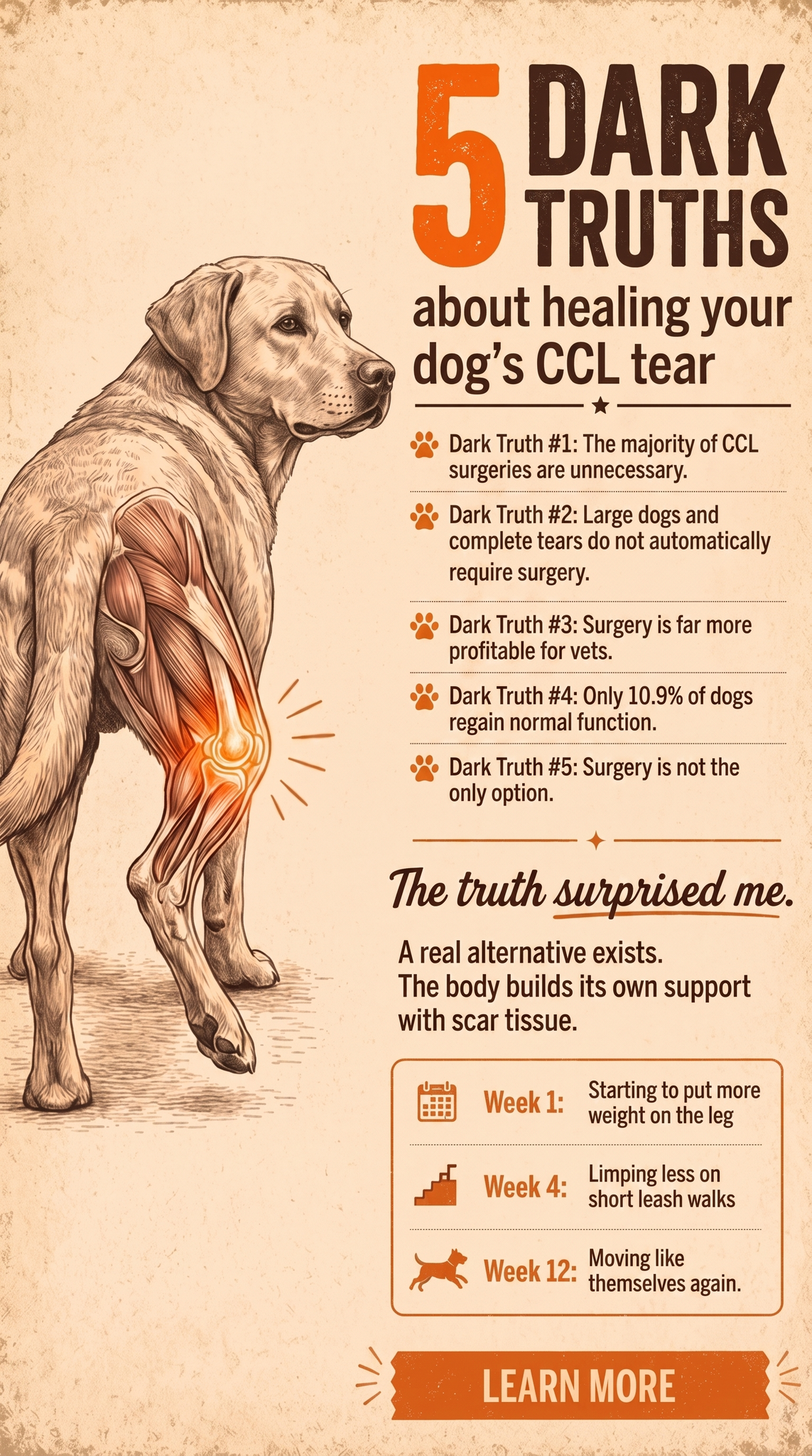 Dog Mom Diaries Facebook ad: The Dark Side of CCL Surgery Most Vets Don’t Mention