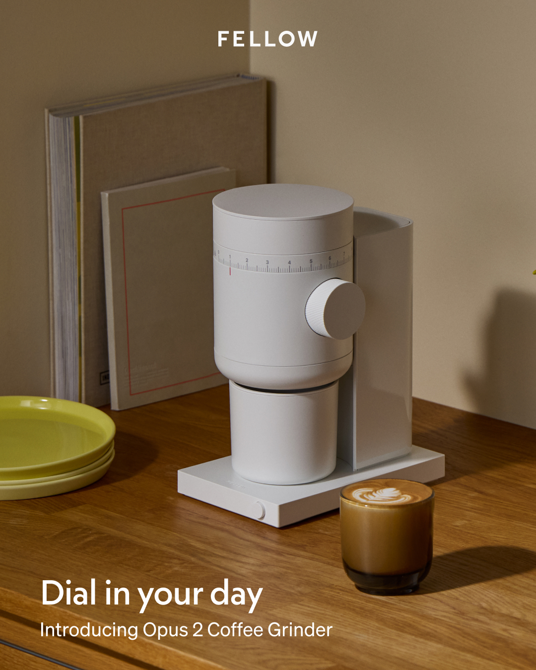 Fellow Facebook ad