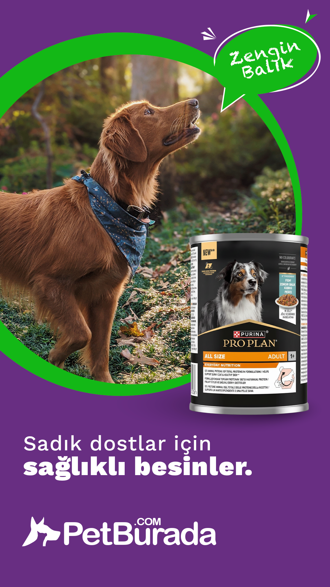 PetBurada Facebook ad from Jan 4, 2026