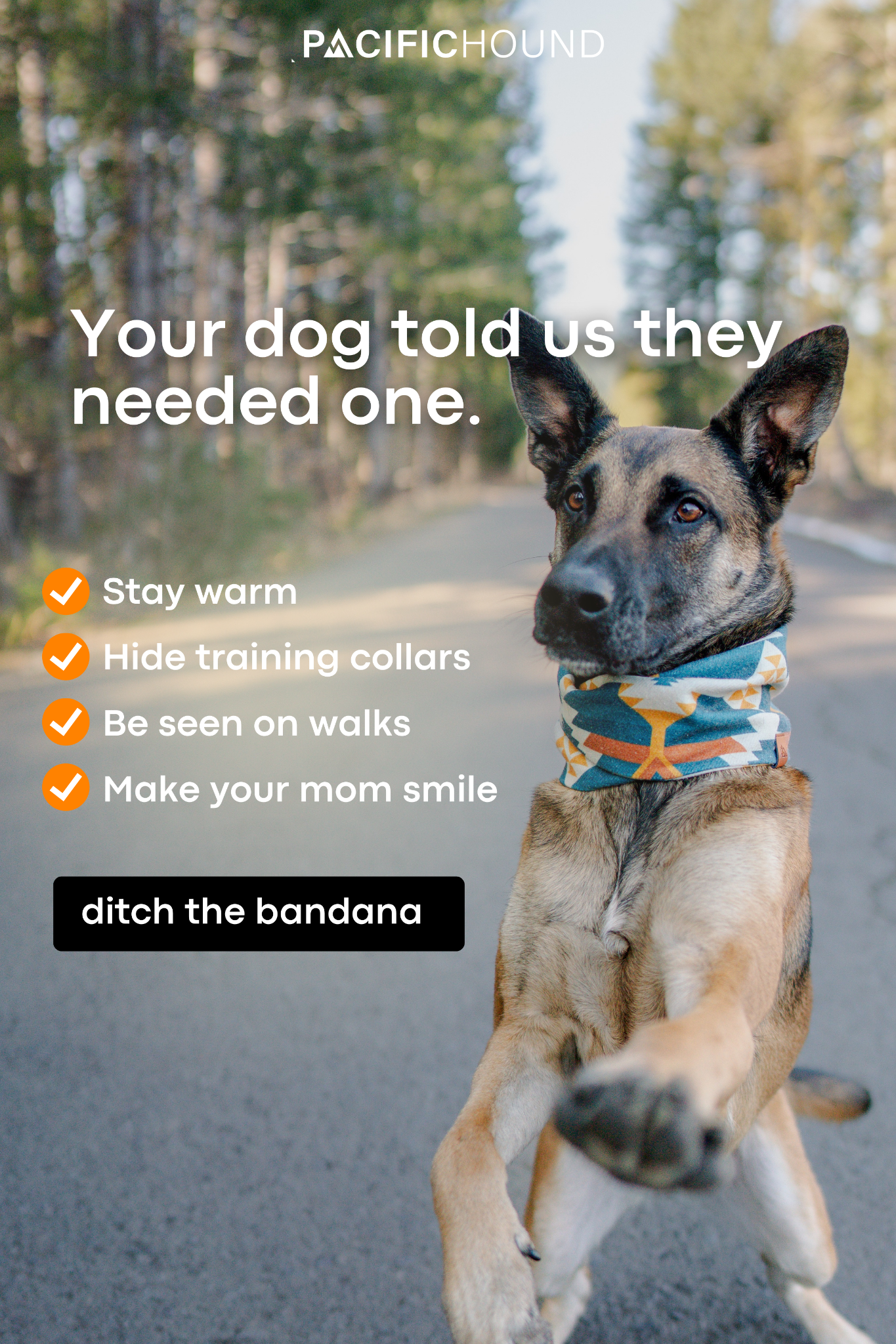 Pacific Hound Facebook ad from Feb 5, 2026