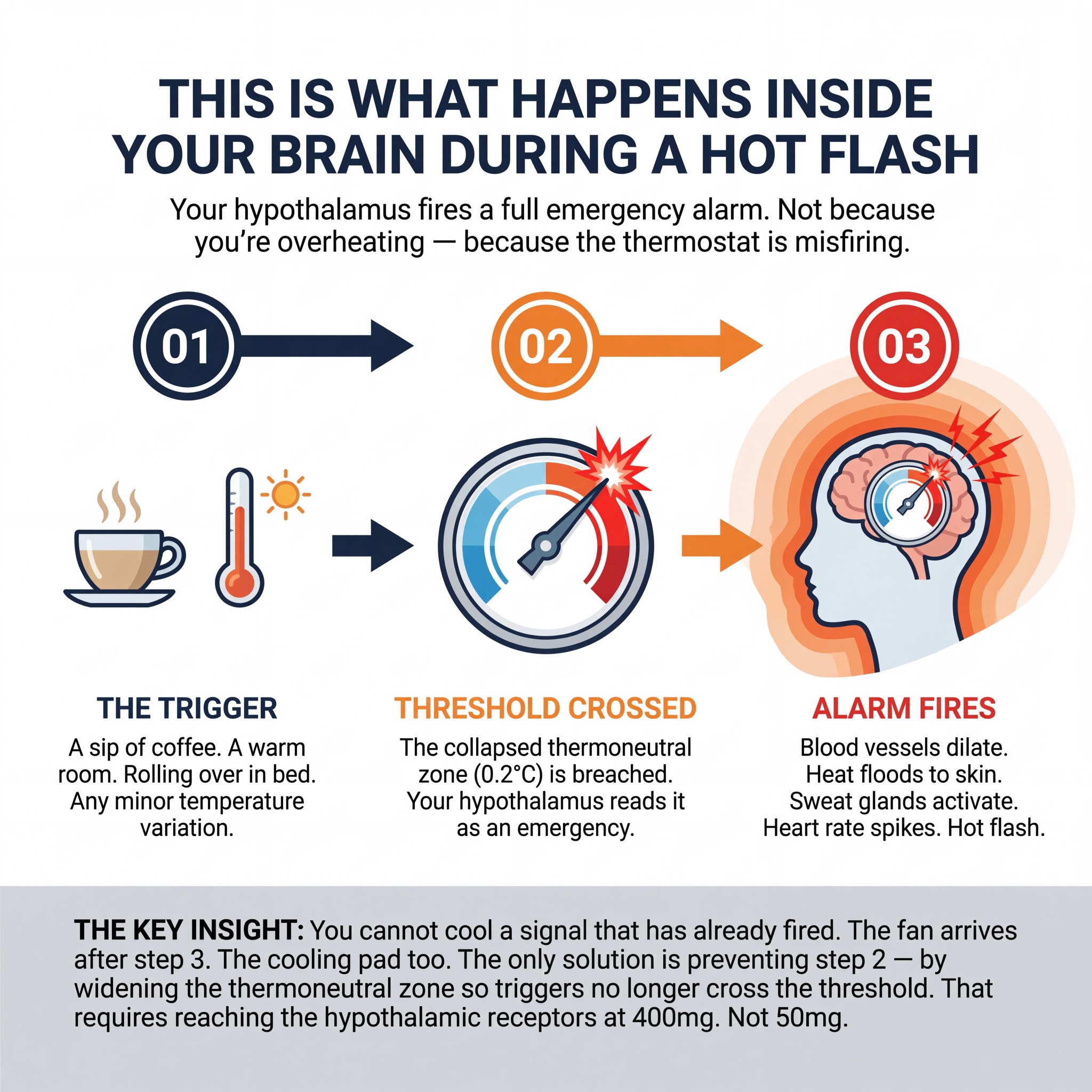 Vono Labs Facebook ad: Your Hot Flashes Aren't A Hormone Problem. They're A…