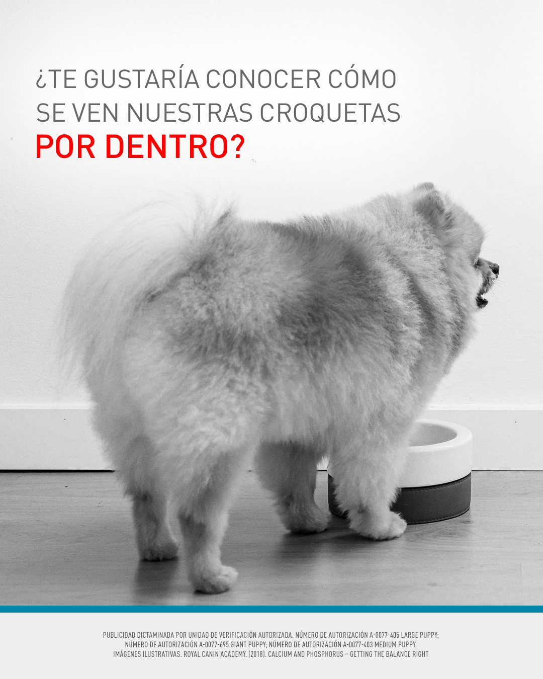 Royal Canin Facebook ad from Aug 14, 2026