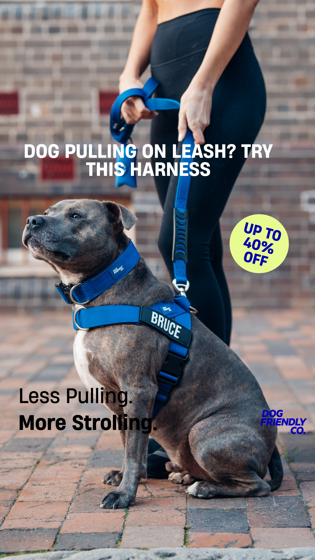 Dog Friendly Co. Facebook ad