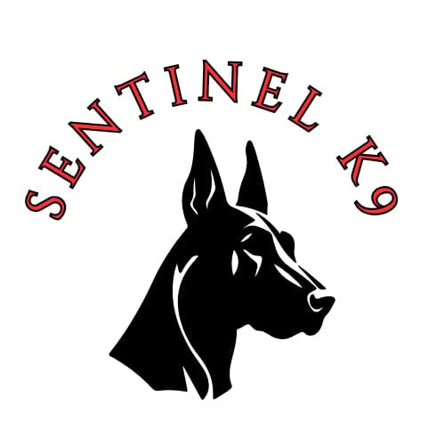 Sentinel K9 Facebook ad: Expert Dog Training, Boarding & Daycare in Fort Worth |…