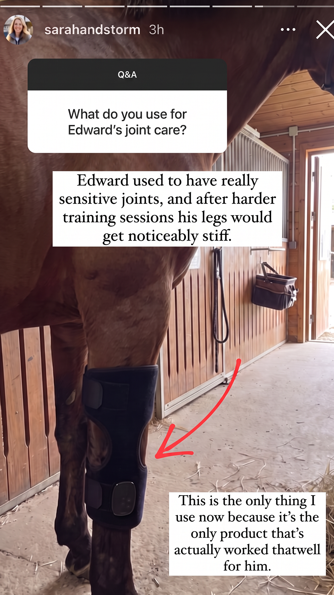 HorseHalo Facebook ad