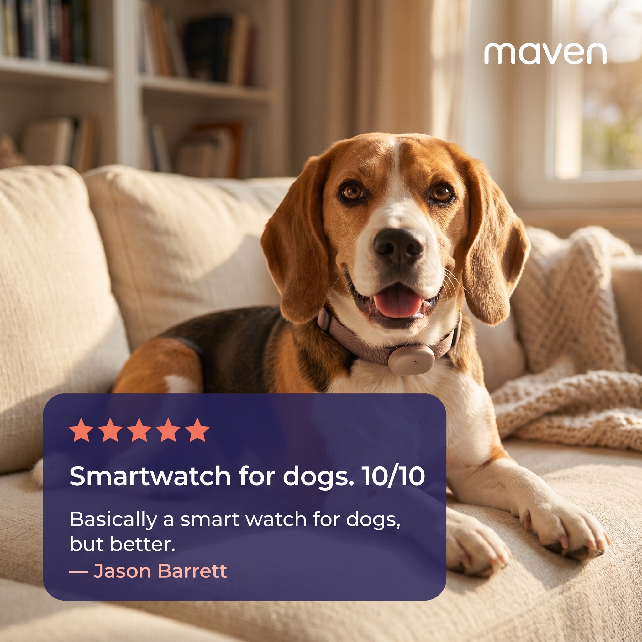 Maven Pet Facebook ad