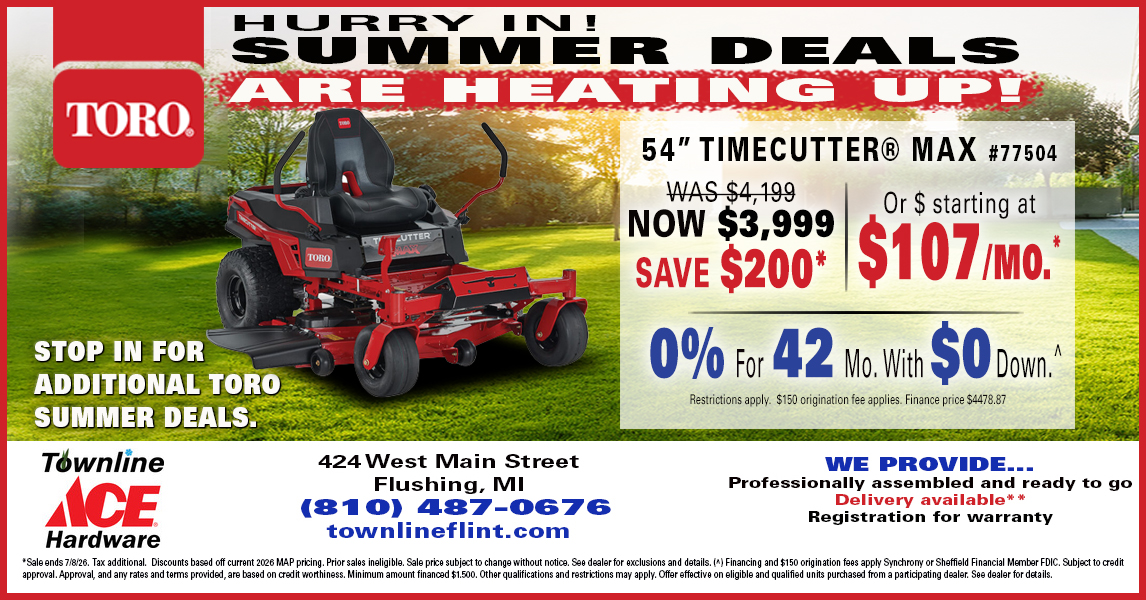 Townline Ace Hardware Facebook ad from Jun 12, 2026