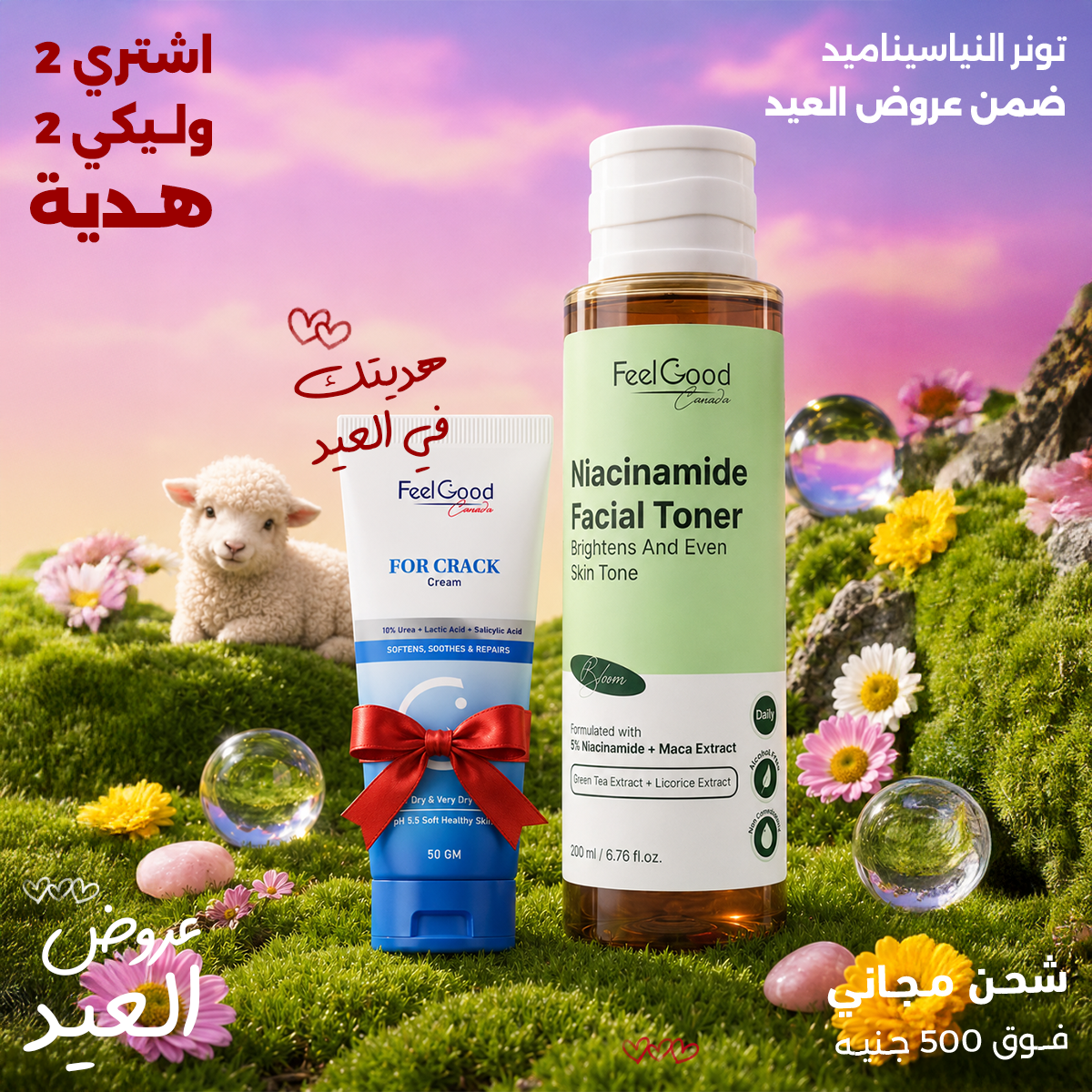 Feel Good - Canada Facebook ad: متفوتيش عروض العيد