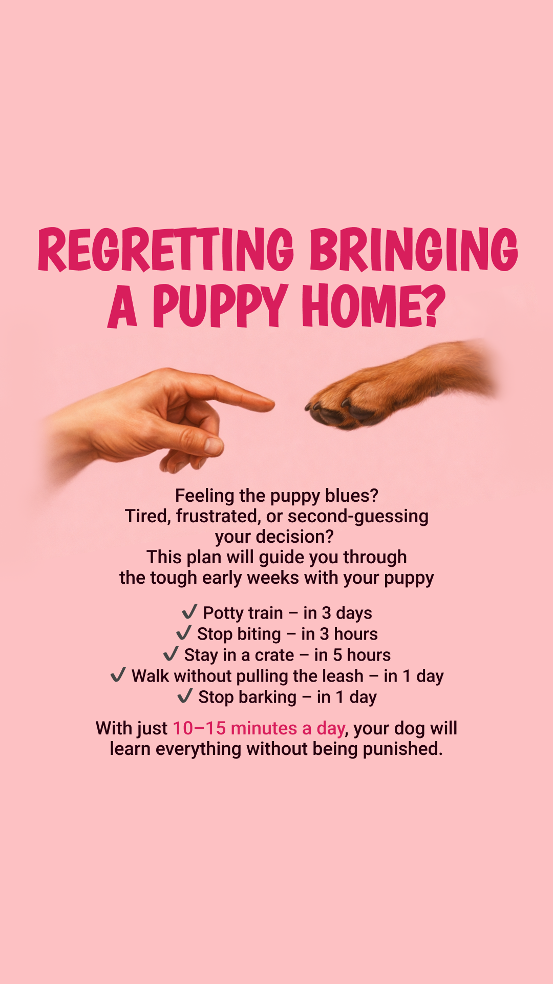 Woofz - Puppy Training Facebook ad