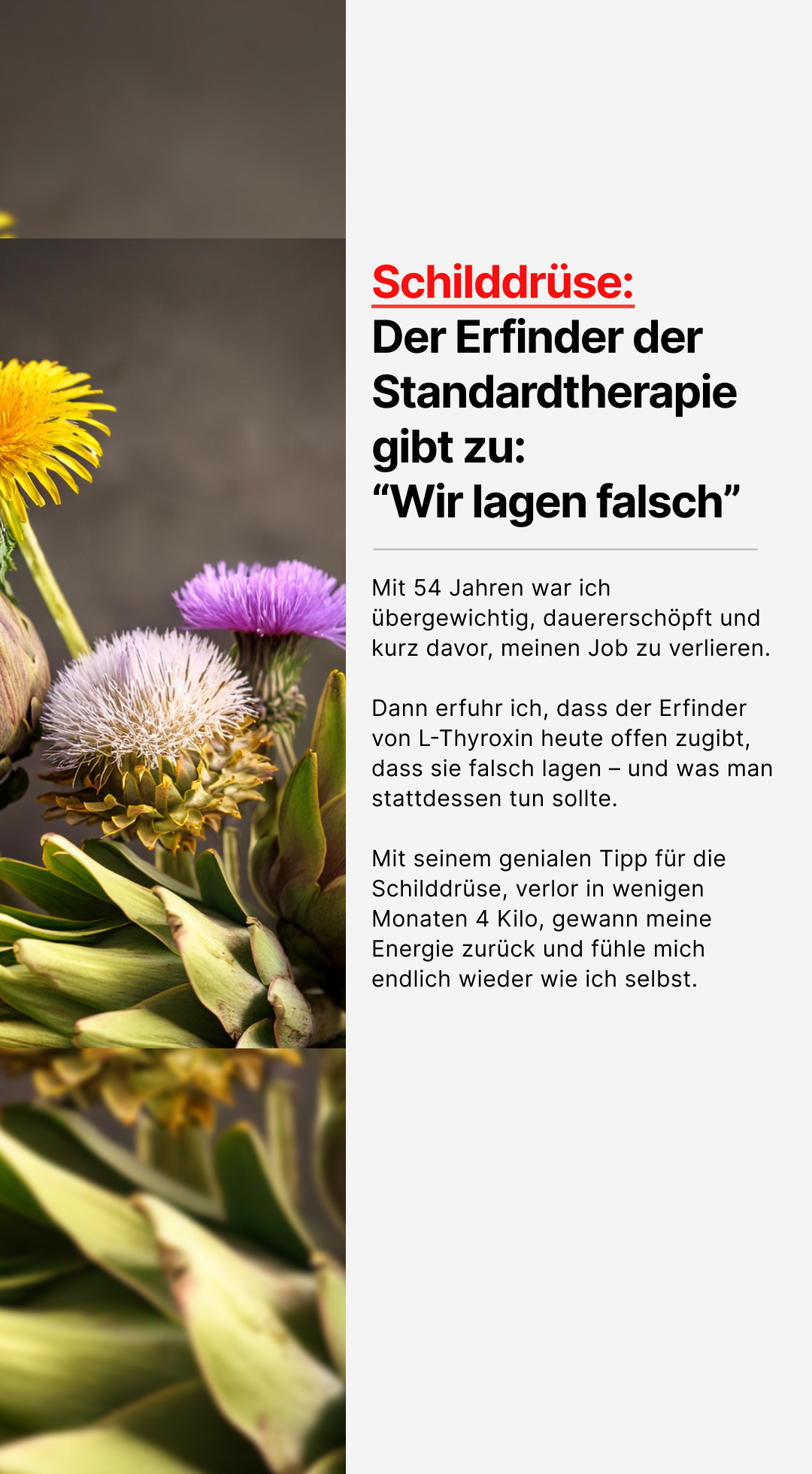 Mission Schilddrüse Facebook ad