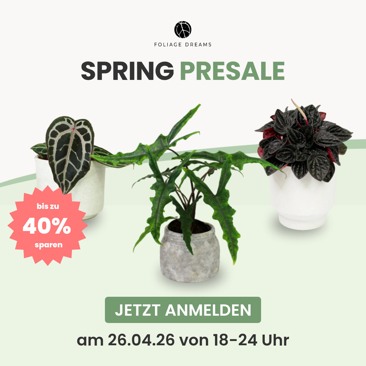 Foliage Dreams Facebook ad