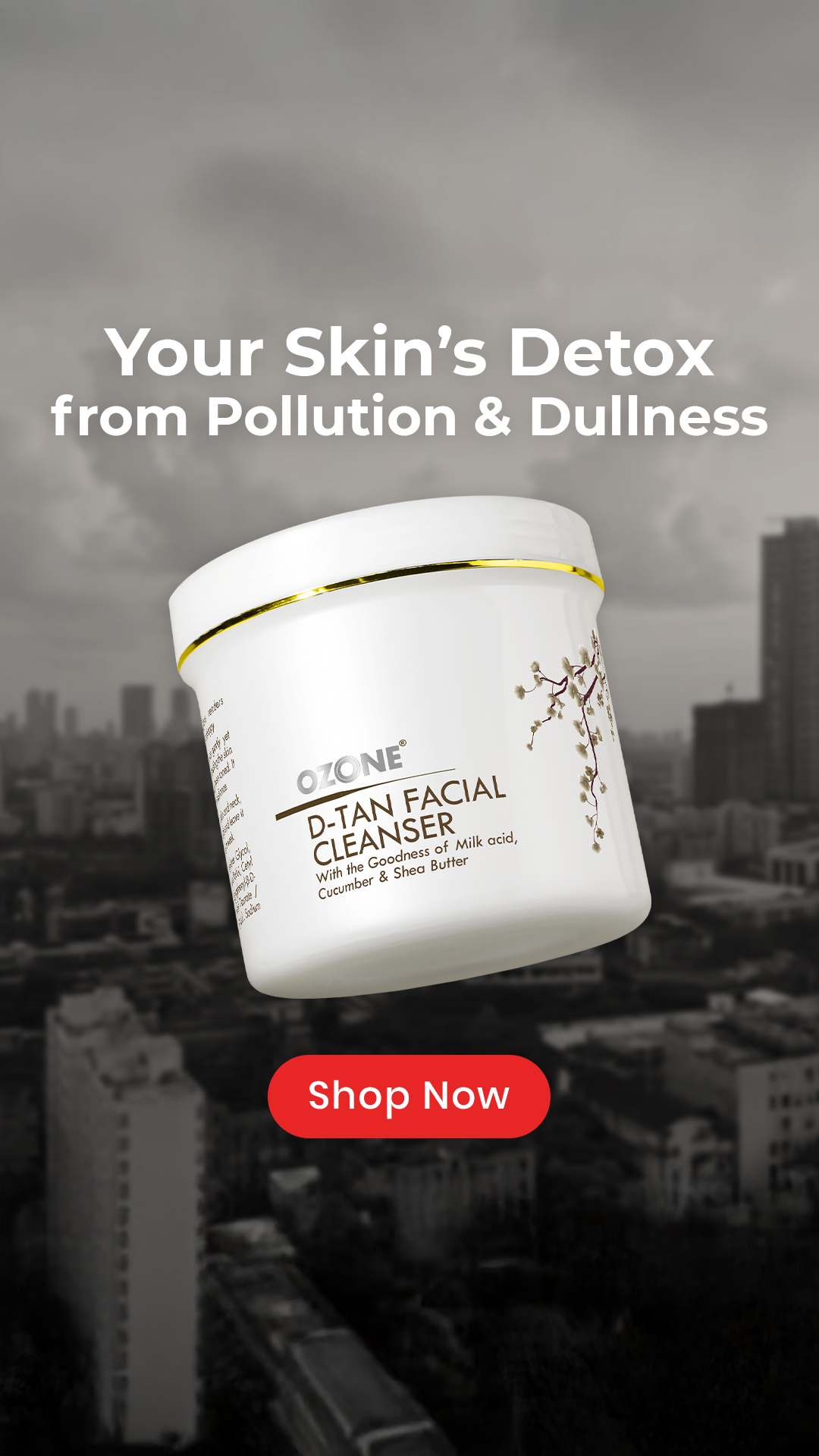 Ozone Ayurvedics Facebook ad