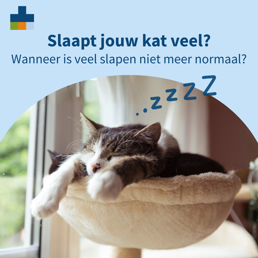 Medpets Facebook ad