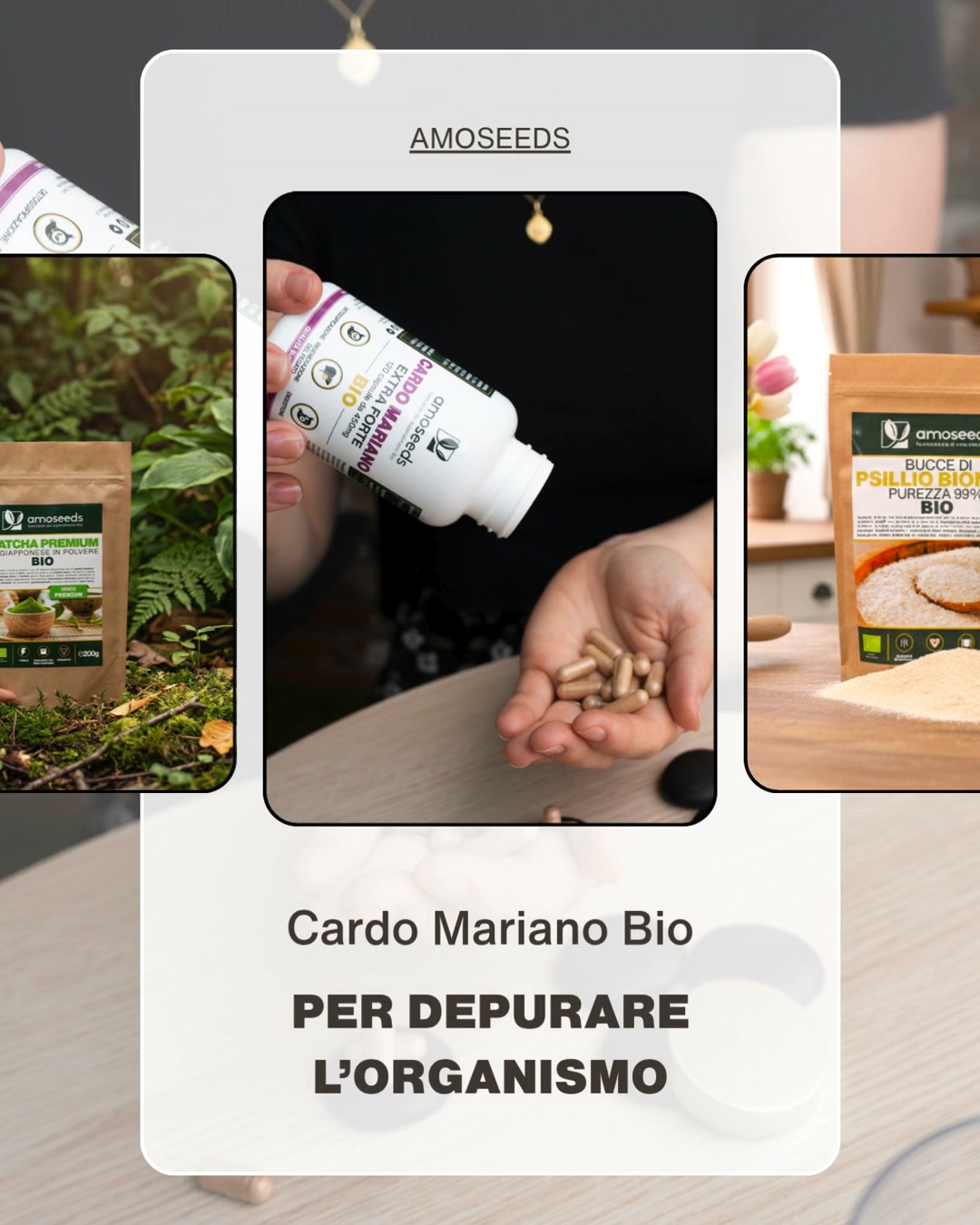 Amoseeds Italia Facebook ad: 4,8 / 5 + 7.000 recensioni