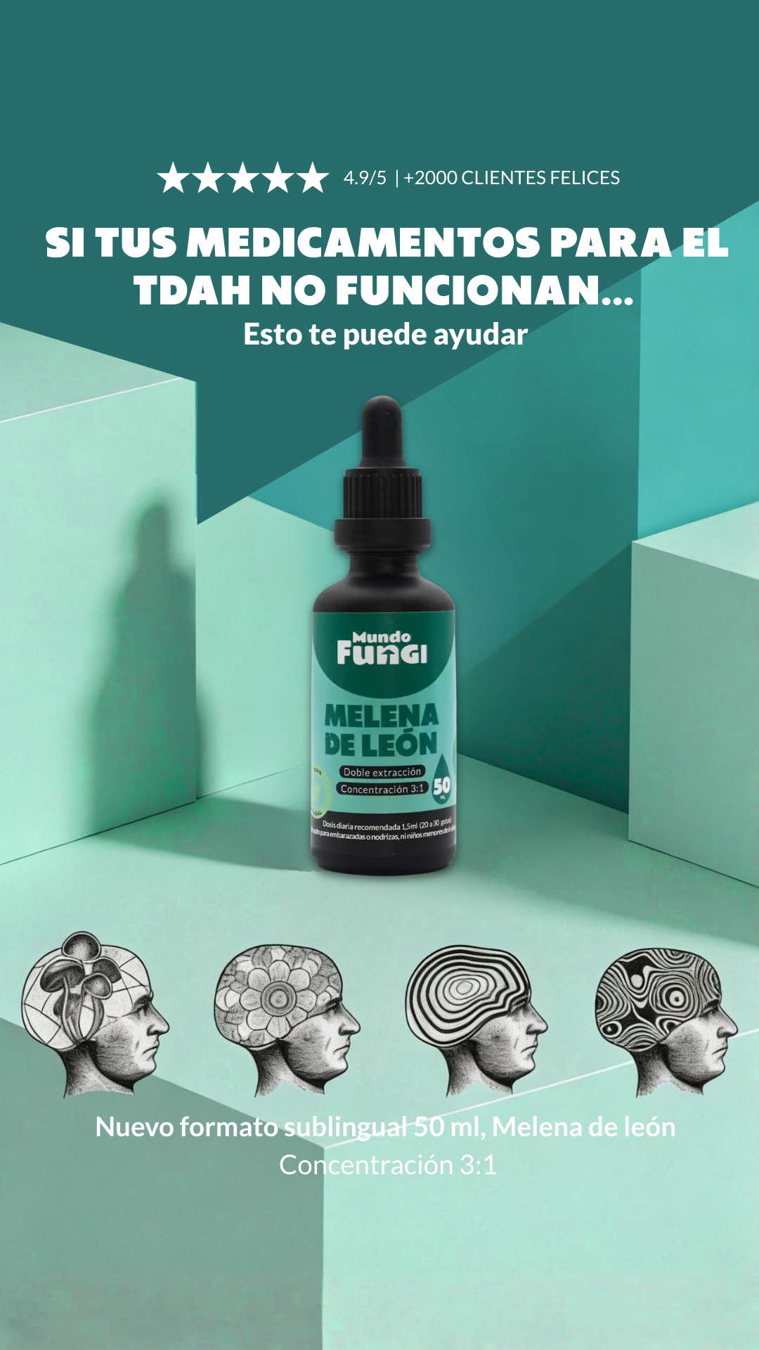 Mundo Fungi Facebook ad