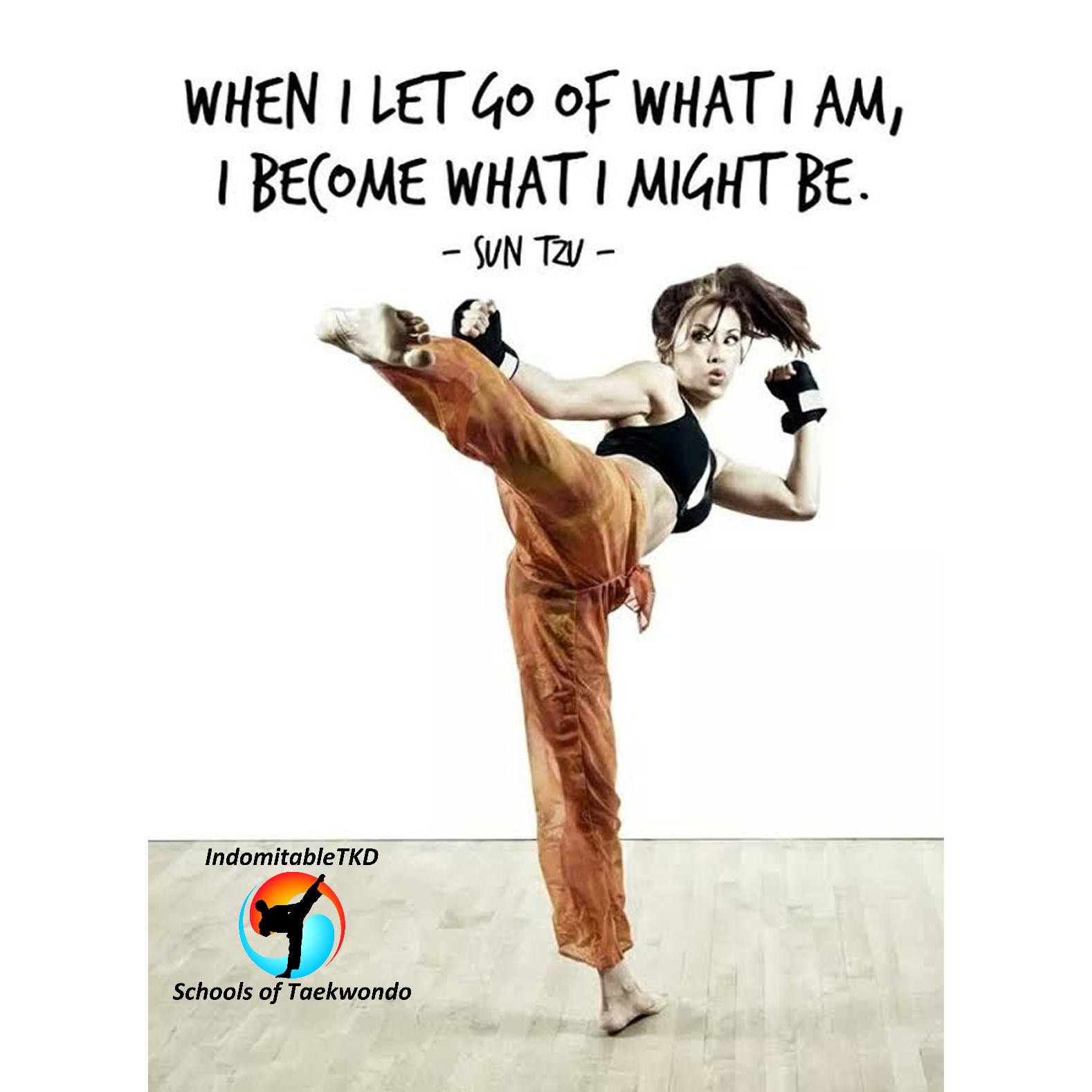 Indomitable TKD Schools of Taekwondo Facebook ad