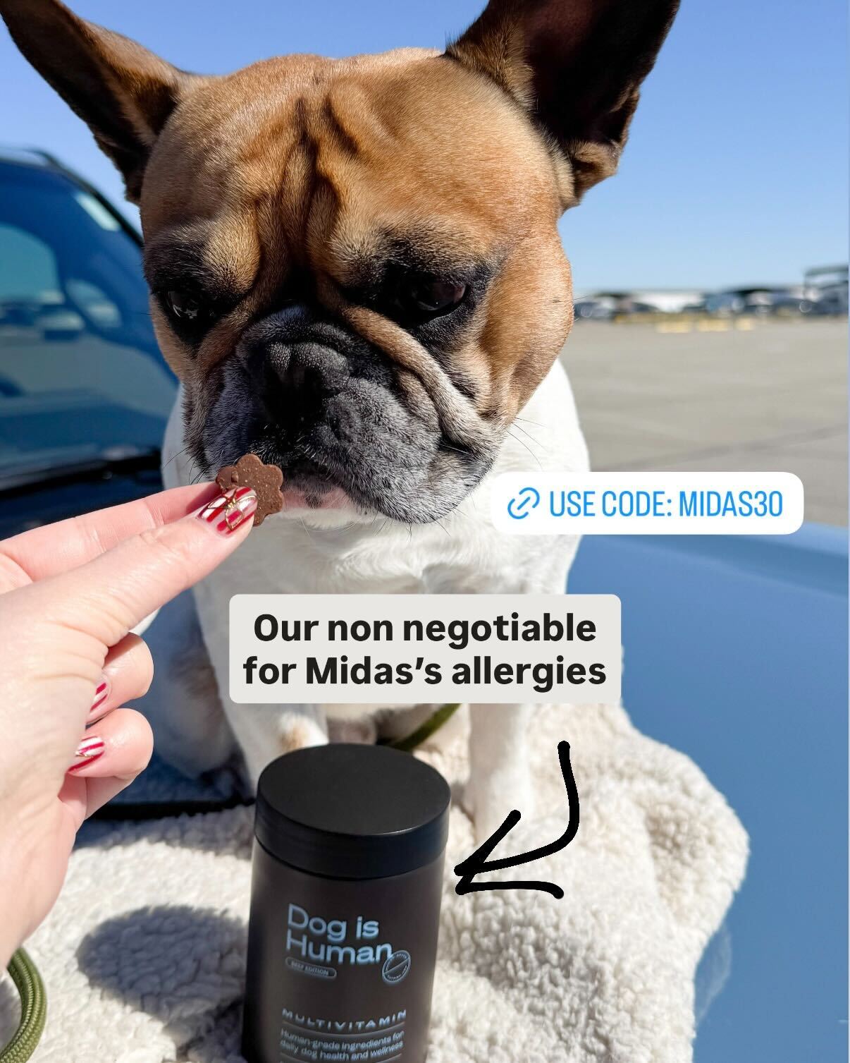 Dog is Human Facebook ad