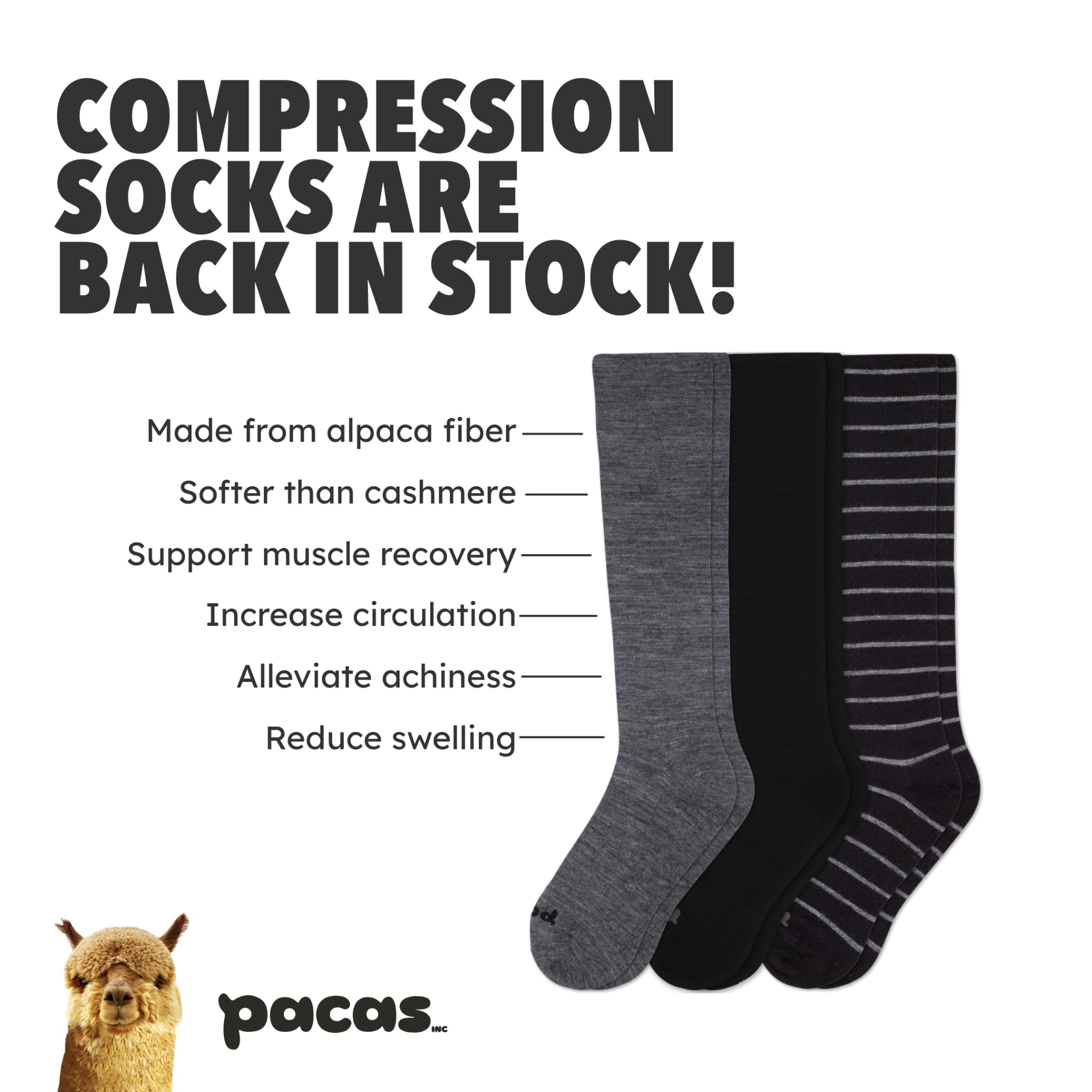 Pacas Facebook ad