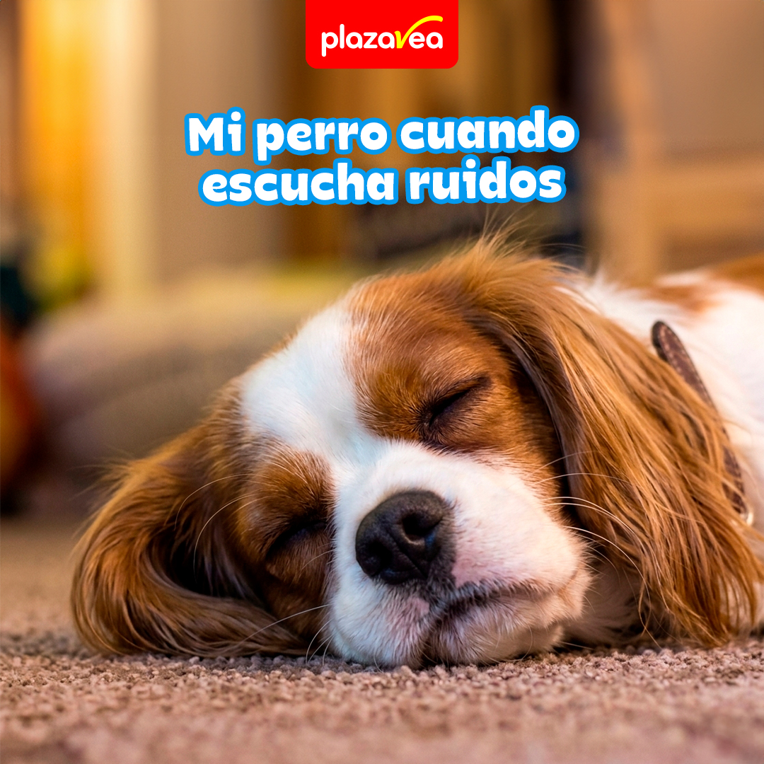 plazaVea Facebook ad