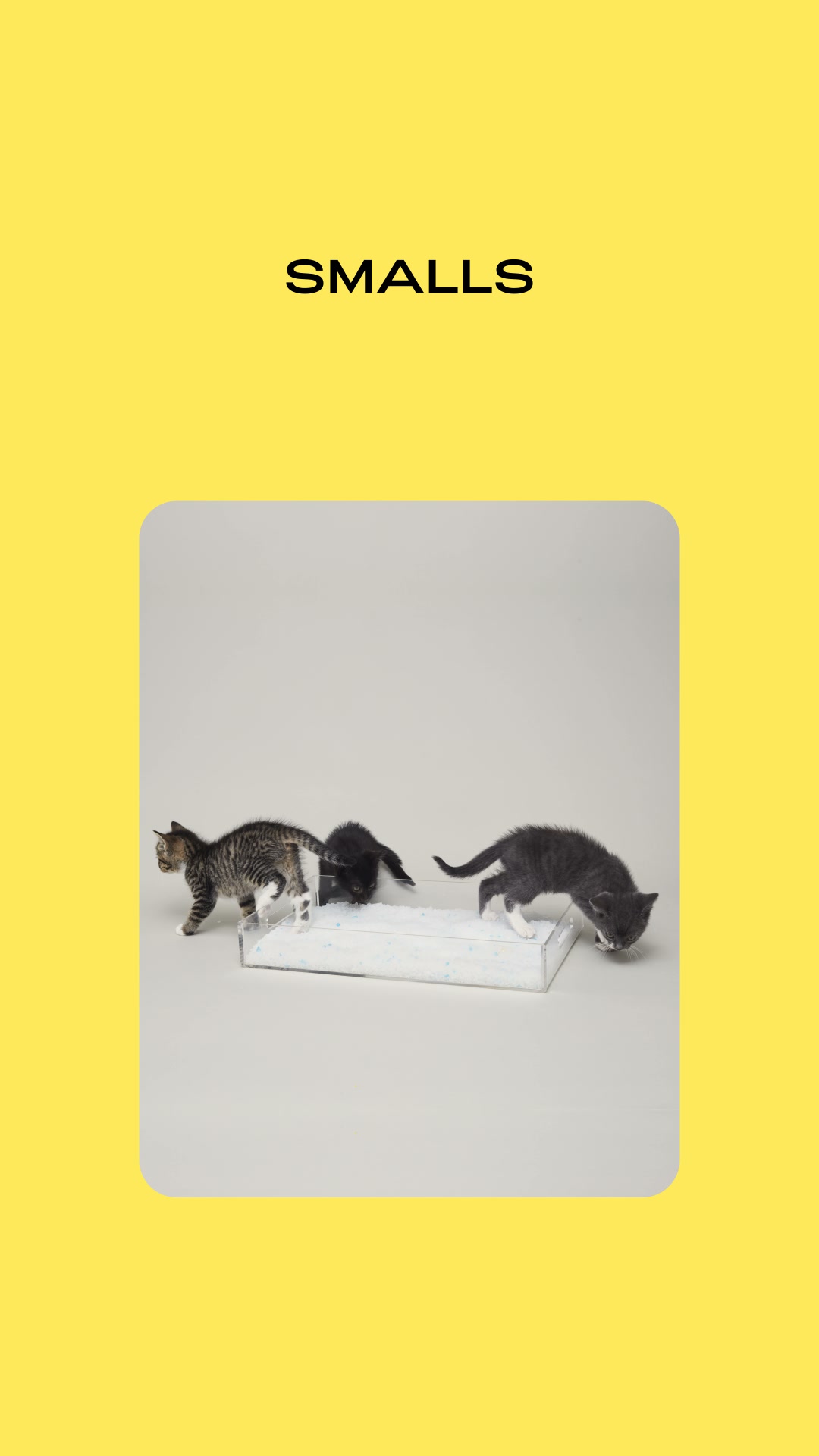 Smalls Facebook ad: Human-Grade Fresh Cat Food