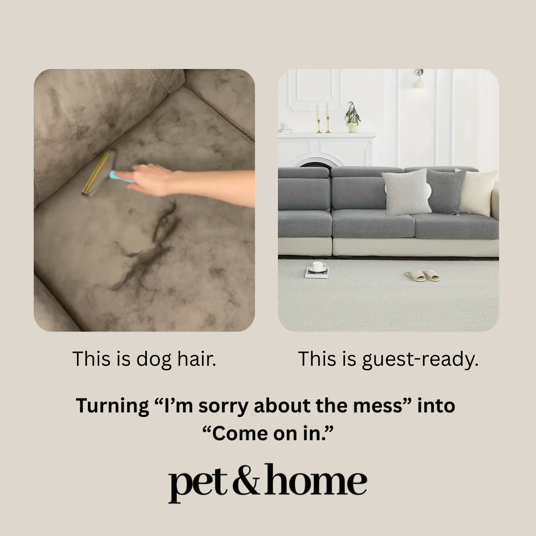 Pet & Home Facebook ad