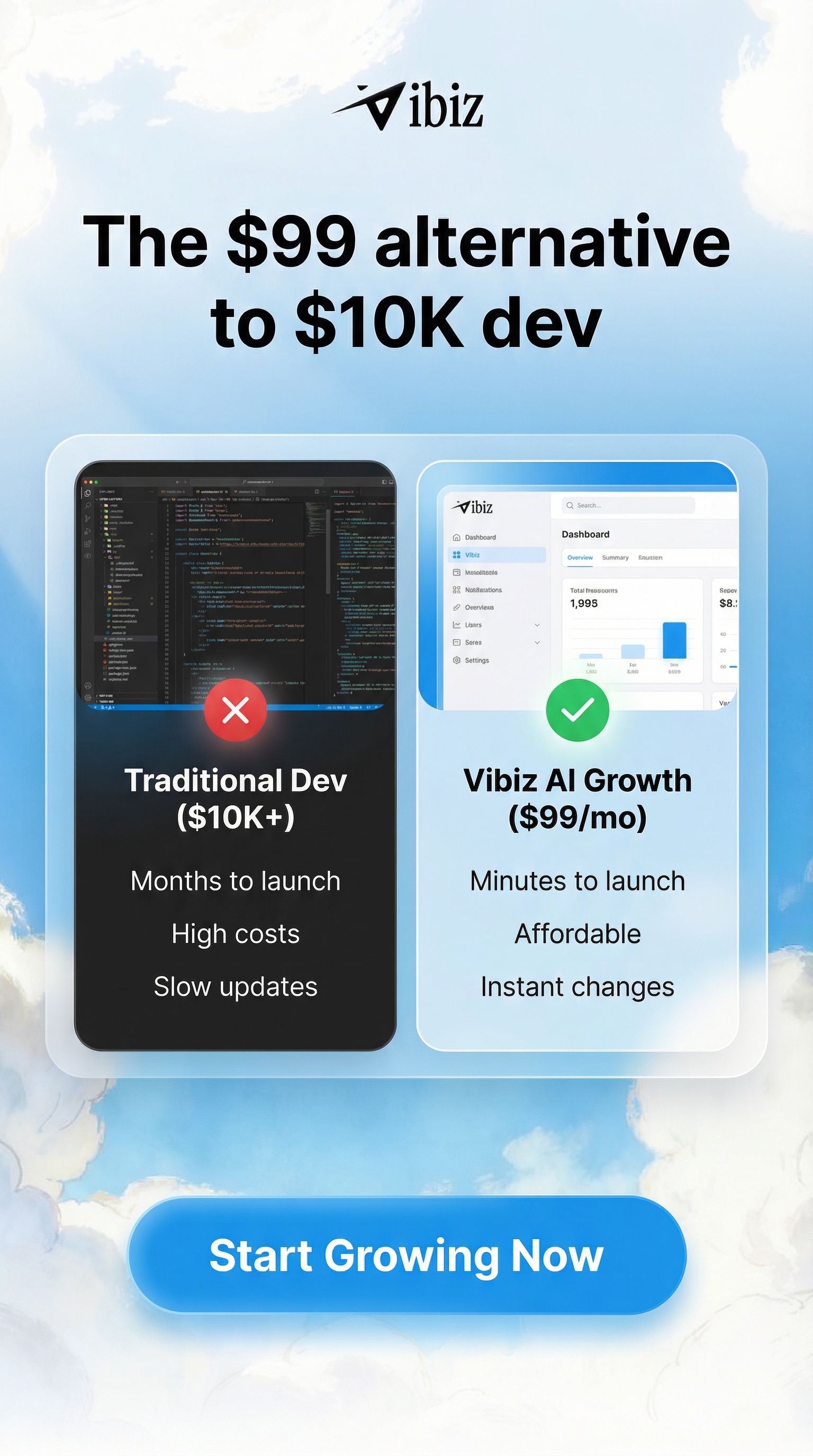 Vibiz Facebook ad