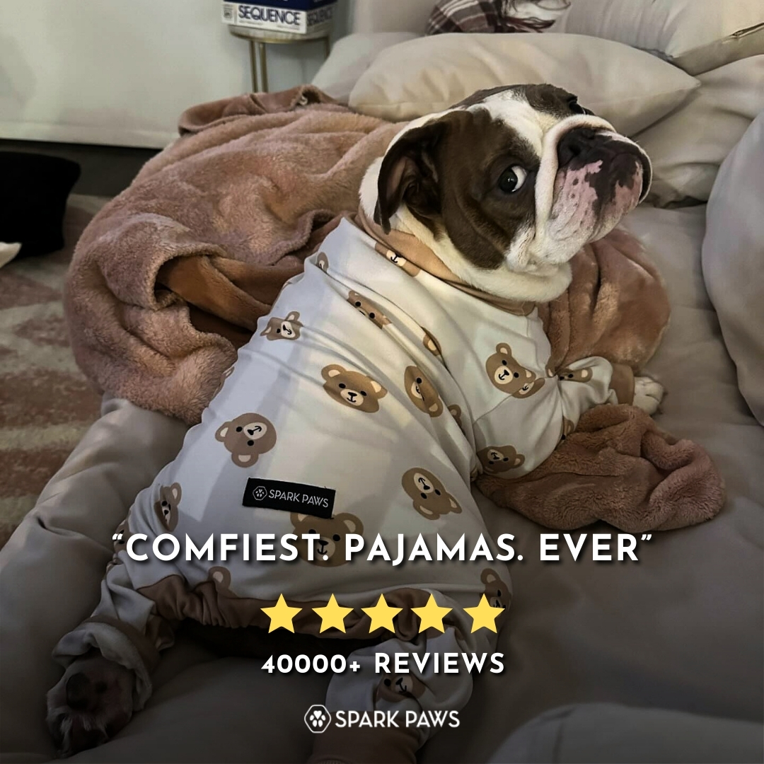 Spark Paws Facebook ad