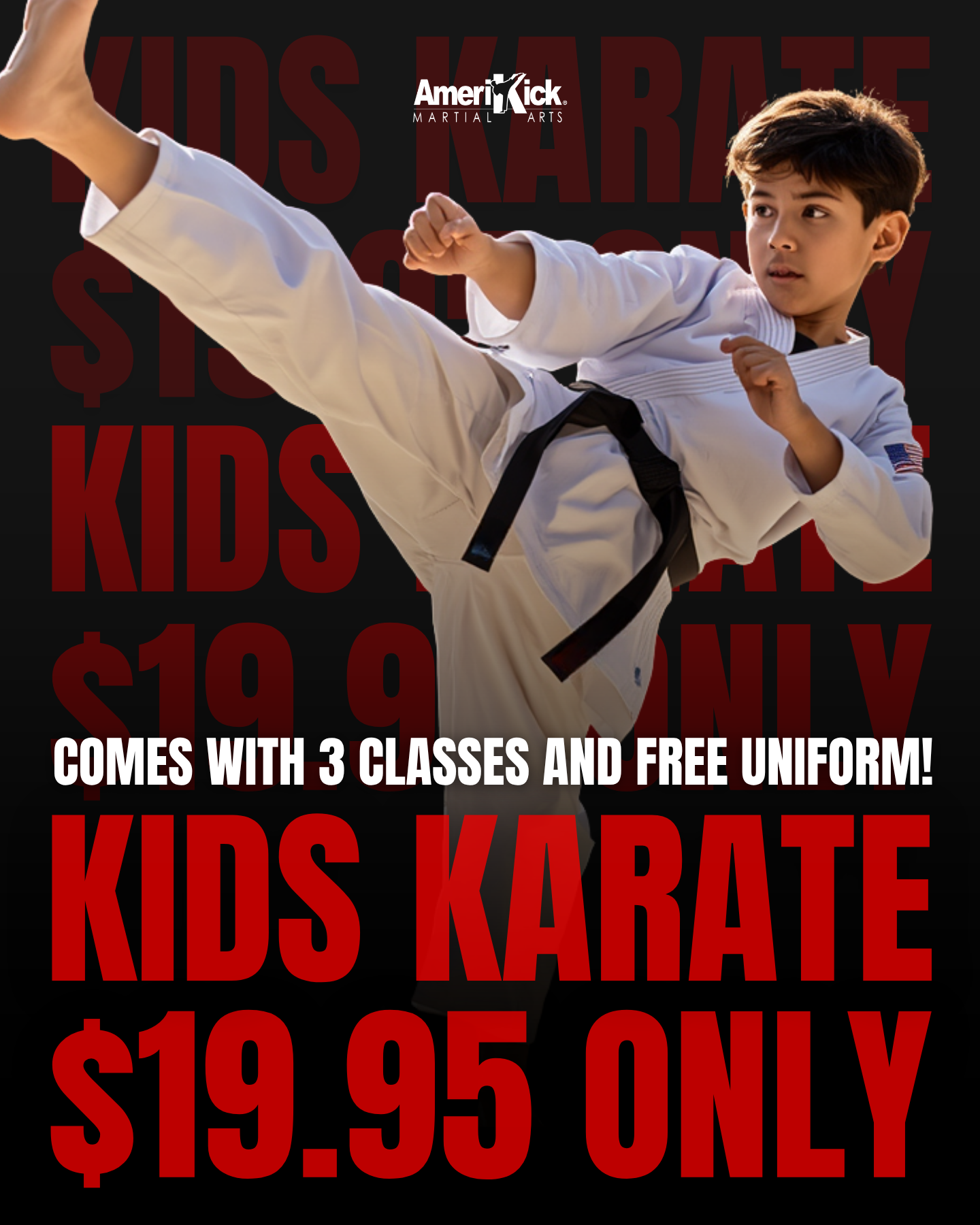Amerikick Martial Arts Facebook ad