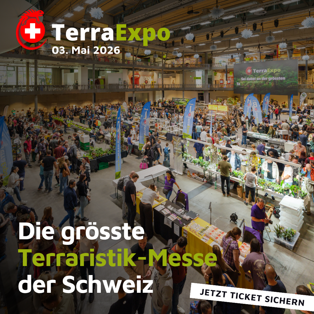 TerraExpo Terraristikbörse Facebook ad: Jetzt Ticket sichern!