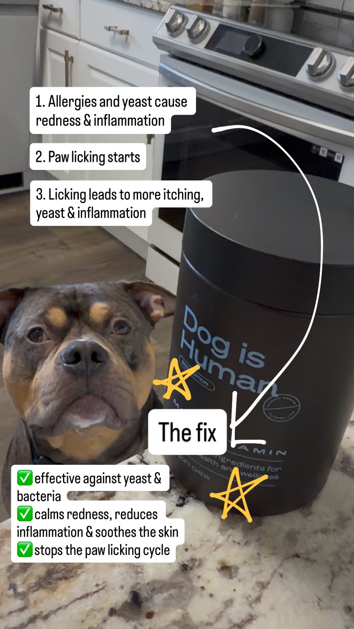 Dog is Human Facebook ad