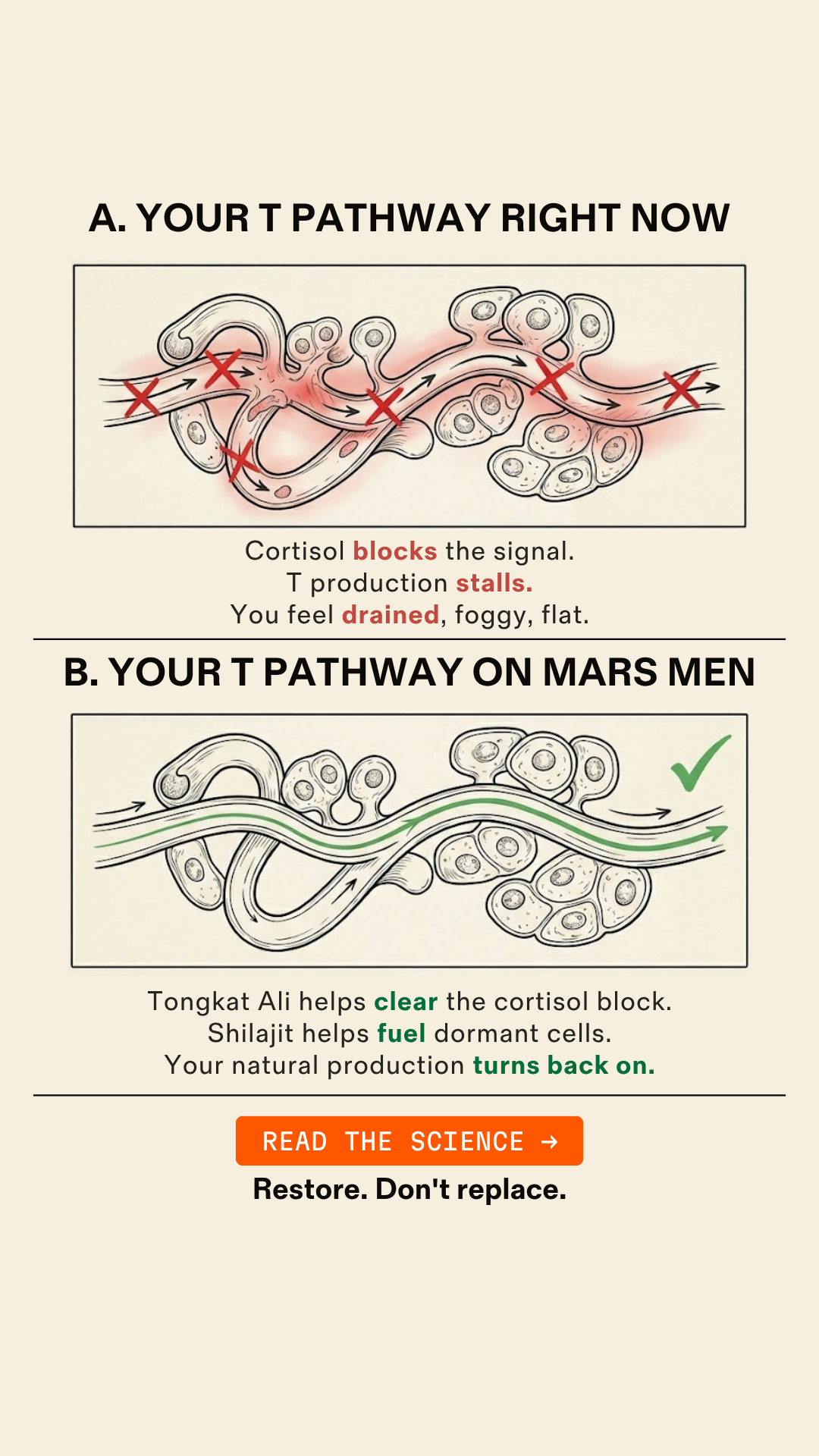 Mars Men Facebook ad