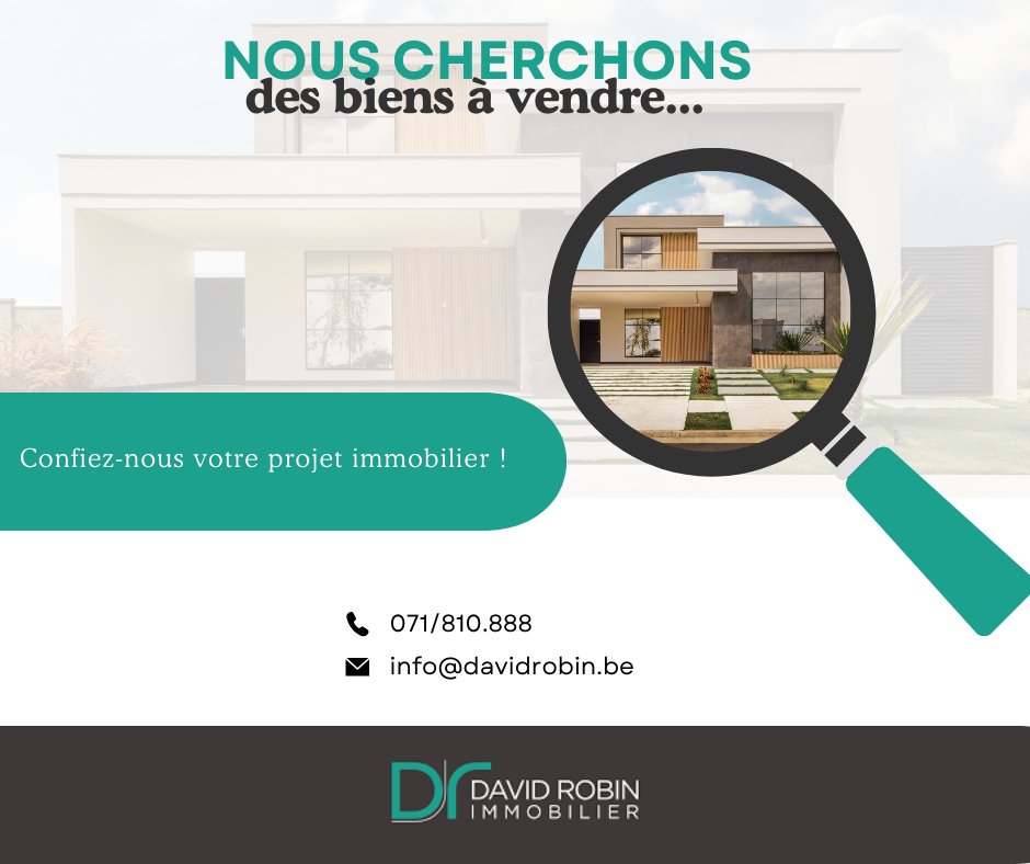 DAVID ROBIN Immobilier Facebook ad: Landing formidable | David Robin Immobilier