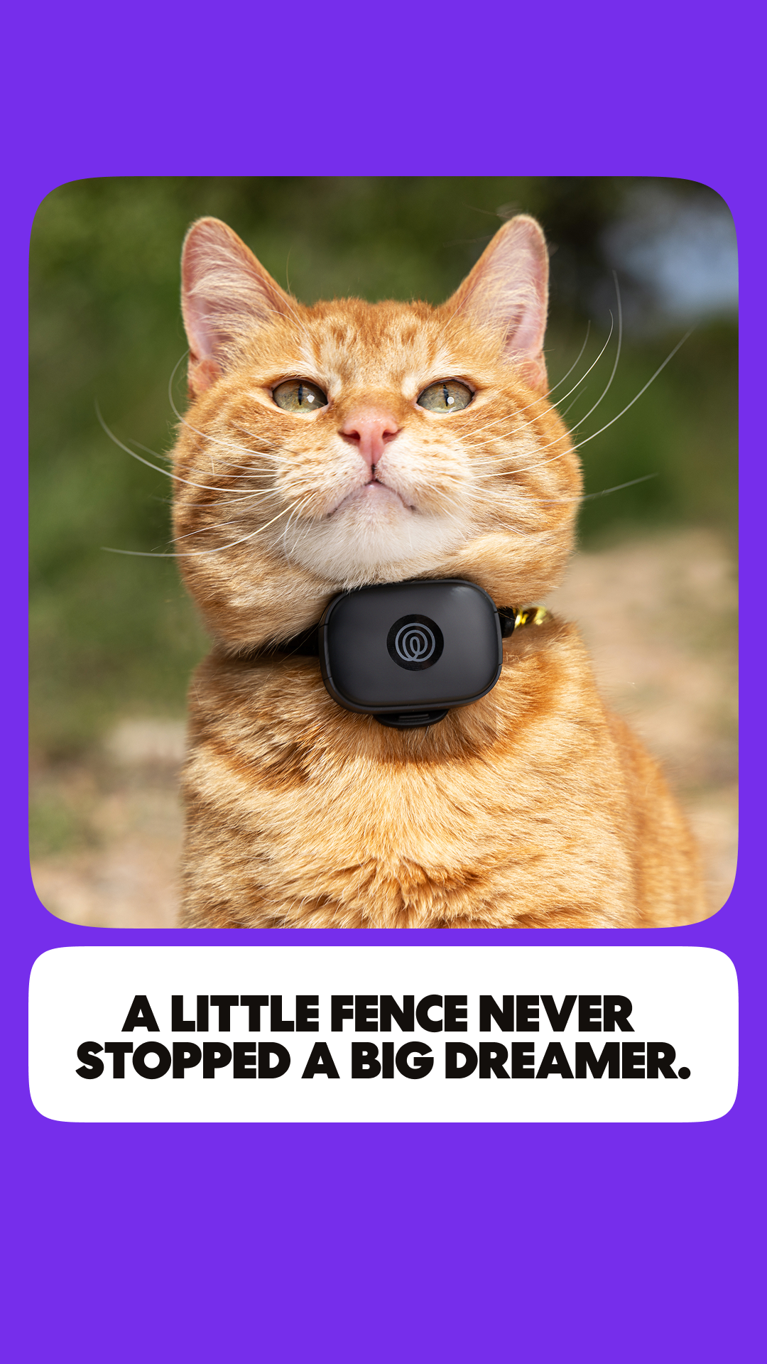 Life360 Facebook ad