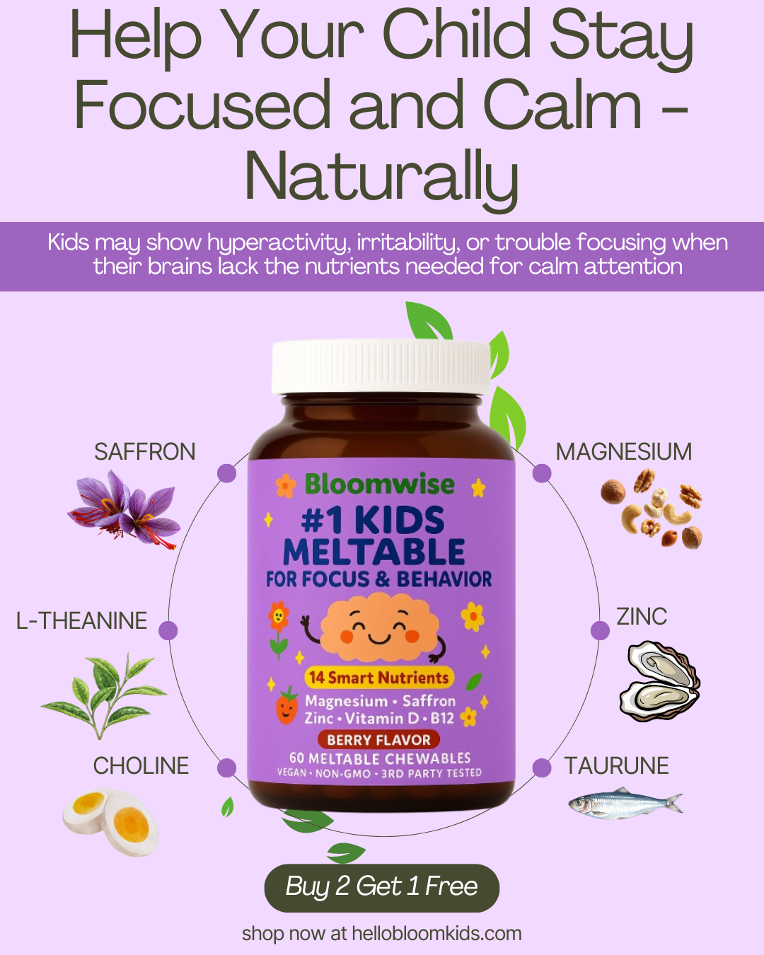 Hellobloomkids Facebook ad