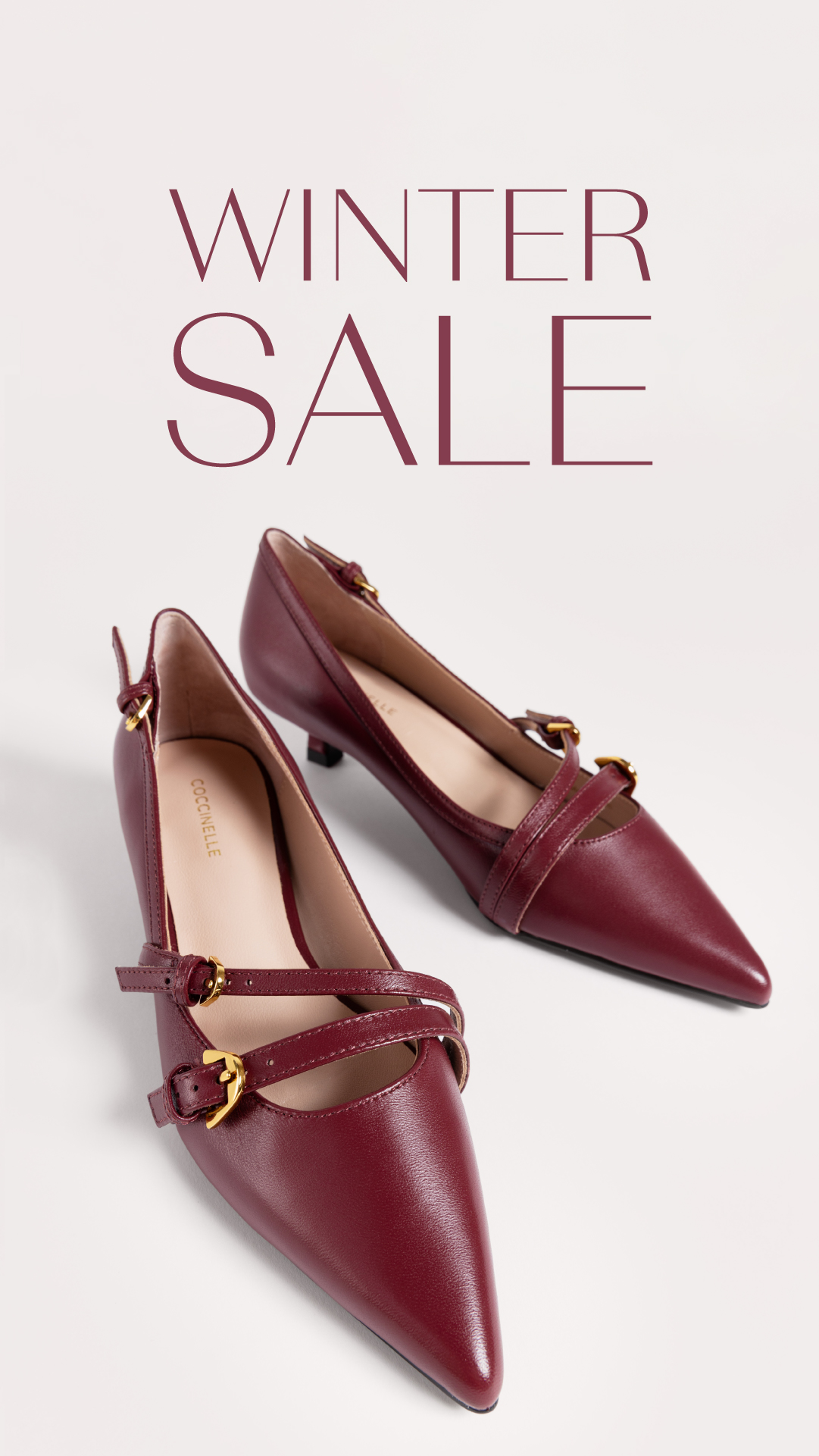 COCCINELLE Facebook ad